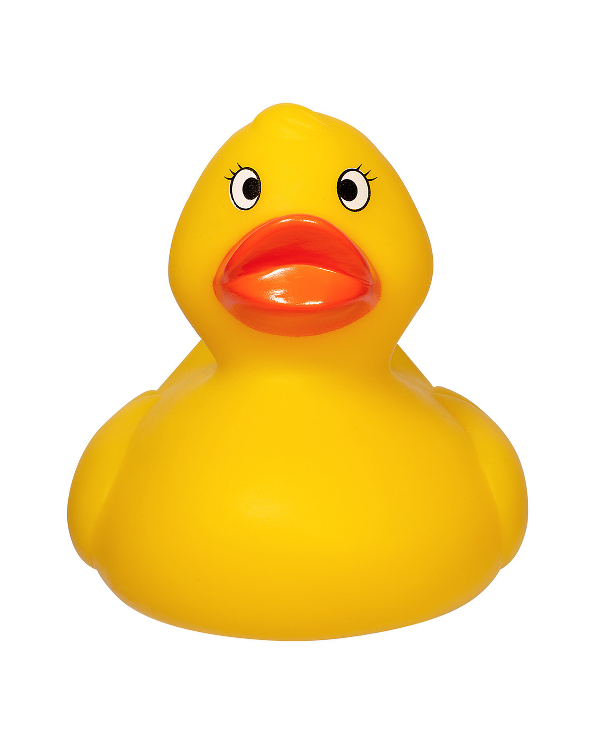 Picture of Weighted Racing Duck.