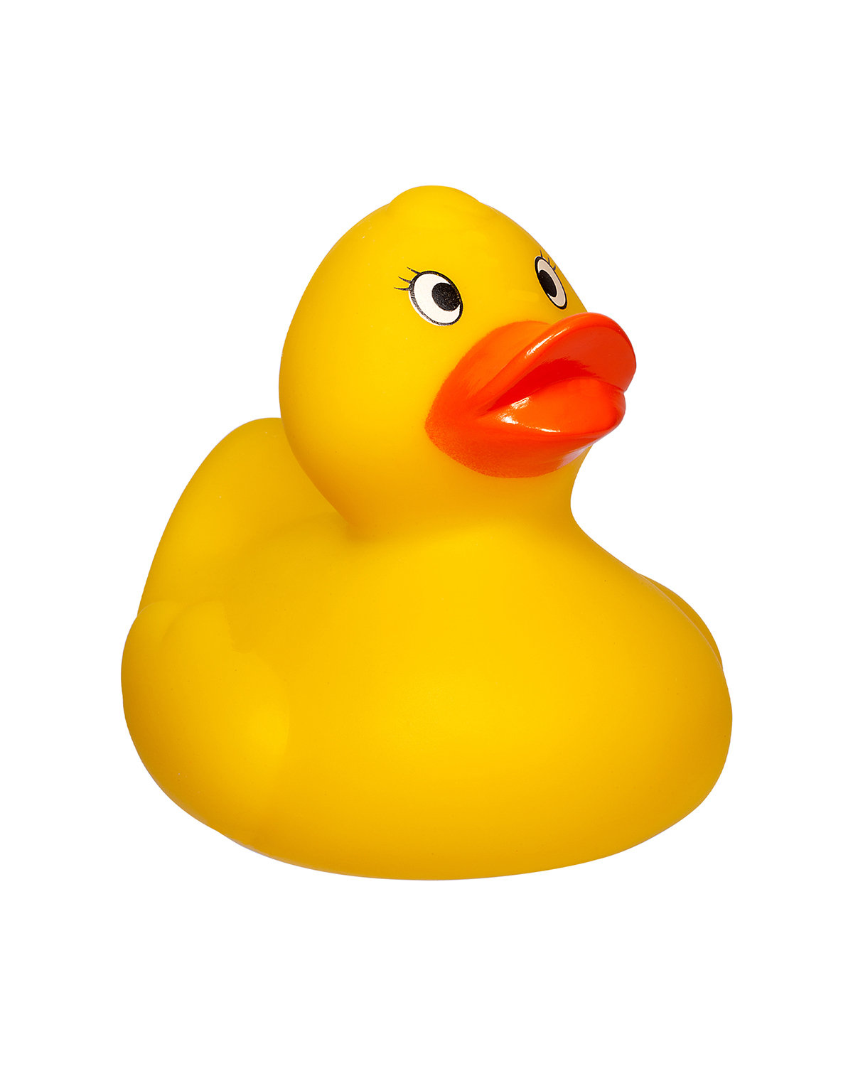 Picture of Weighted Racing Duck.