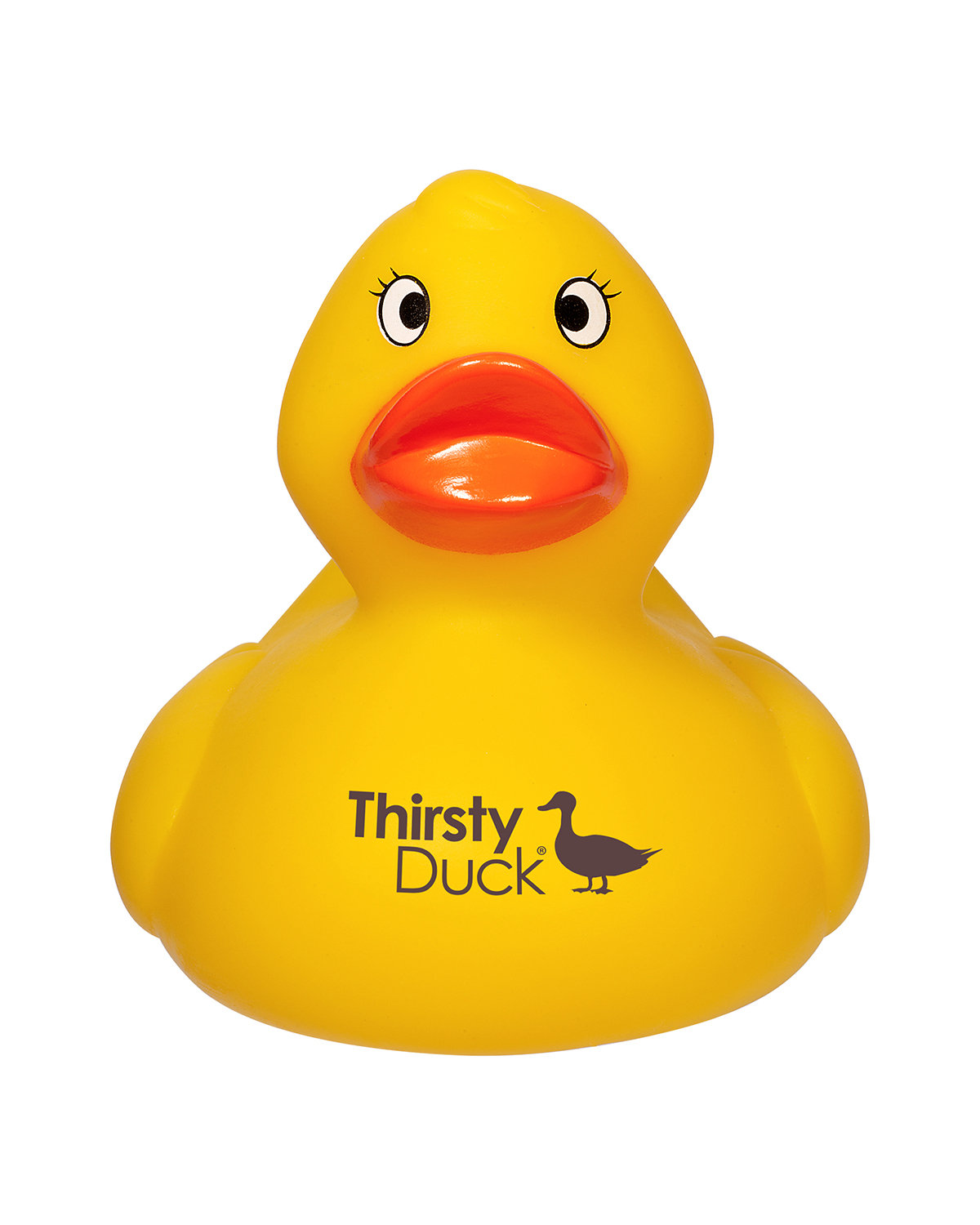 Picture of Weighted Racing Duck.