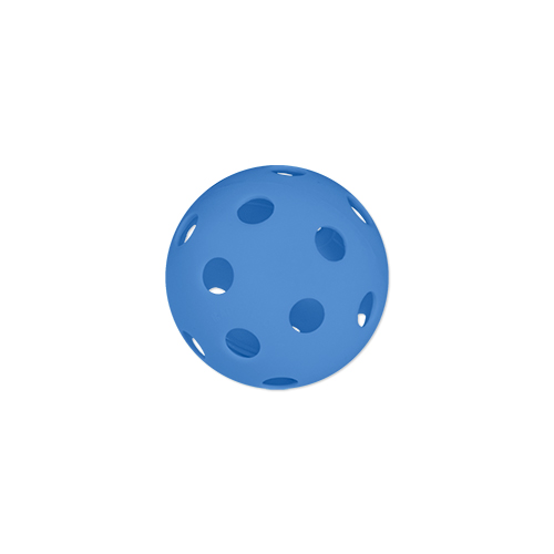 Picture of 26 Hole Indoor Pickleball