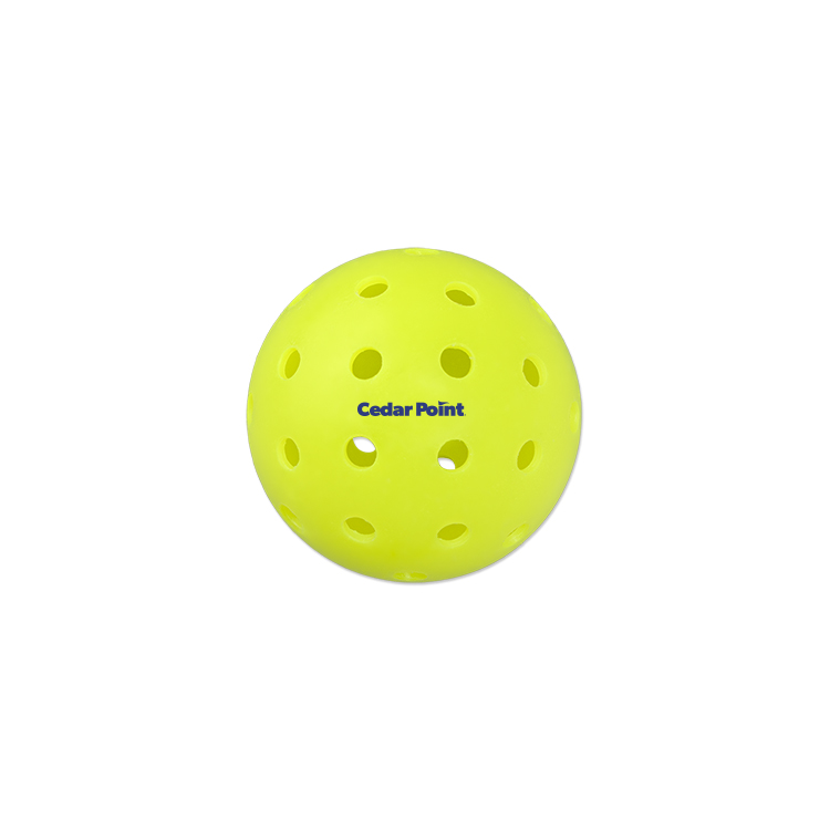 Picture of 40 Hole Outdoor Seamless Pickleball