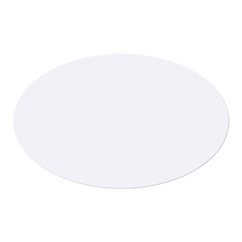 Picture of Oval Car Magnet