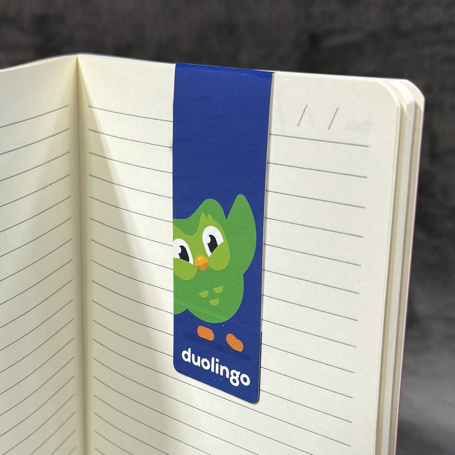 Picture of Bookmark Magnet