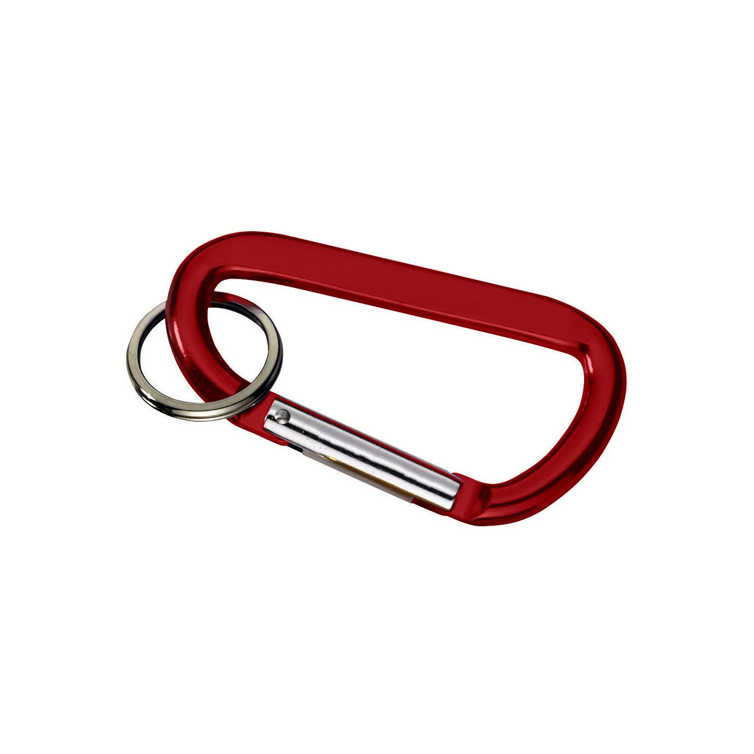 Picture of Carabiner with Ring