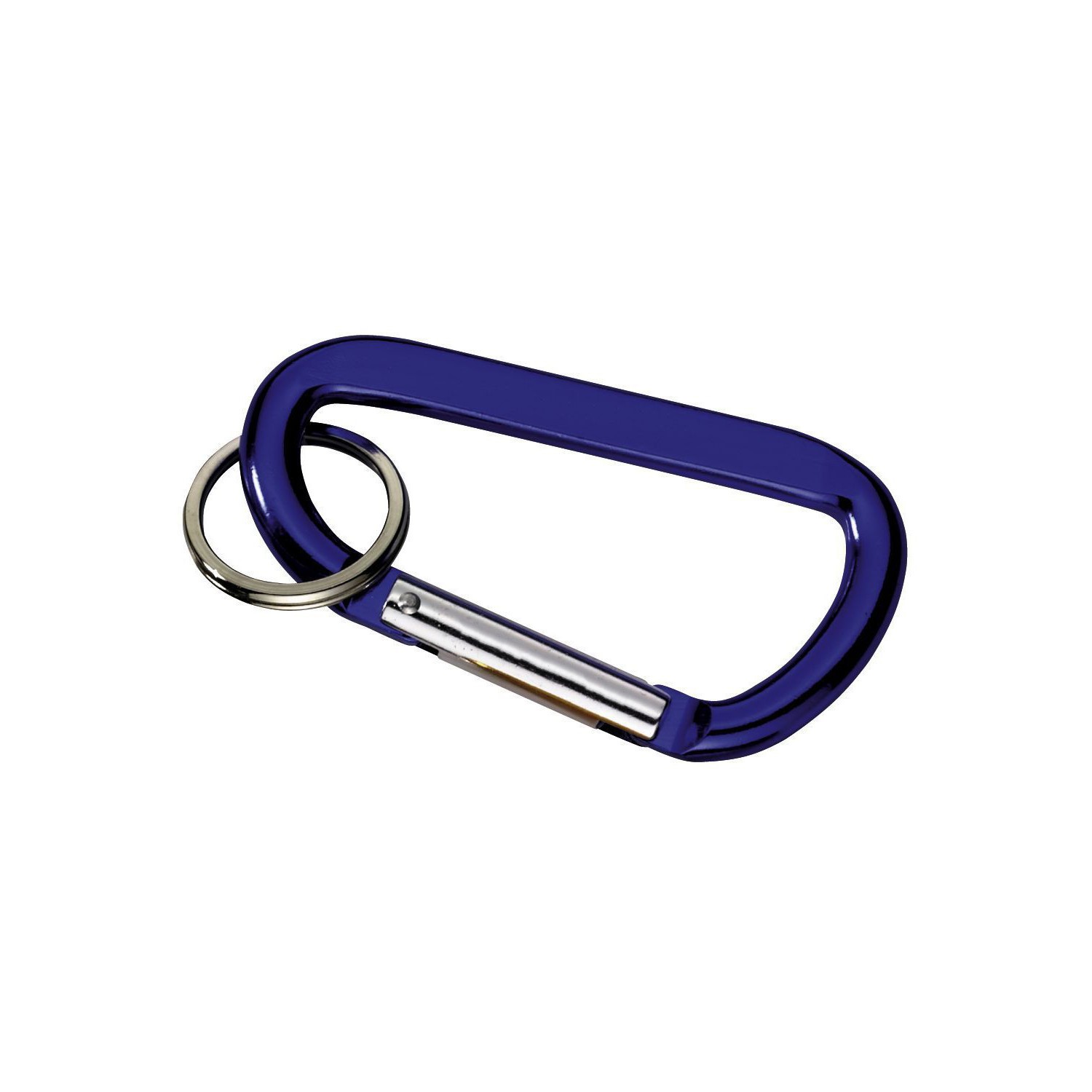 Picture of Carabiner with Ring