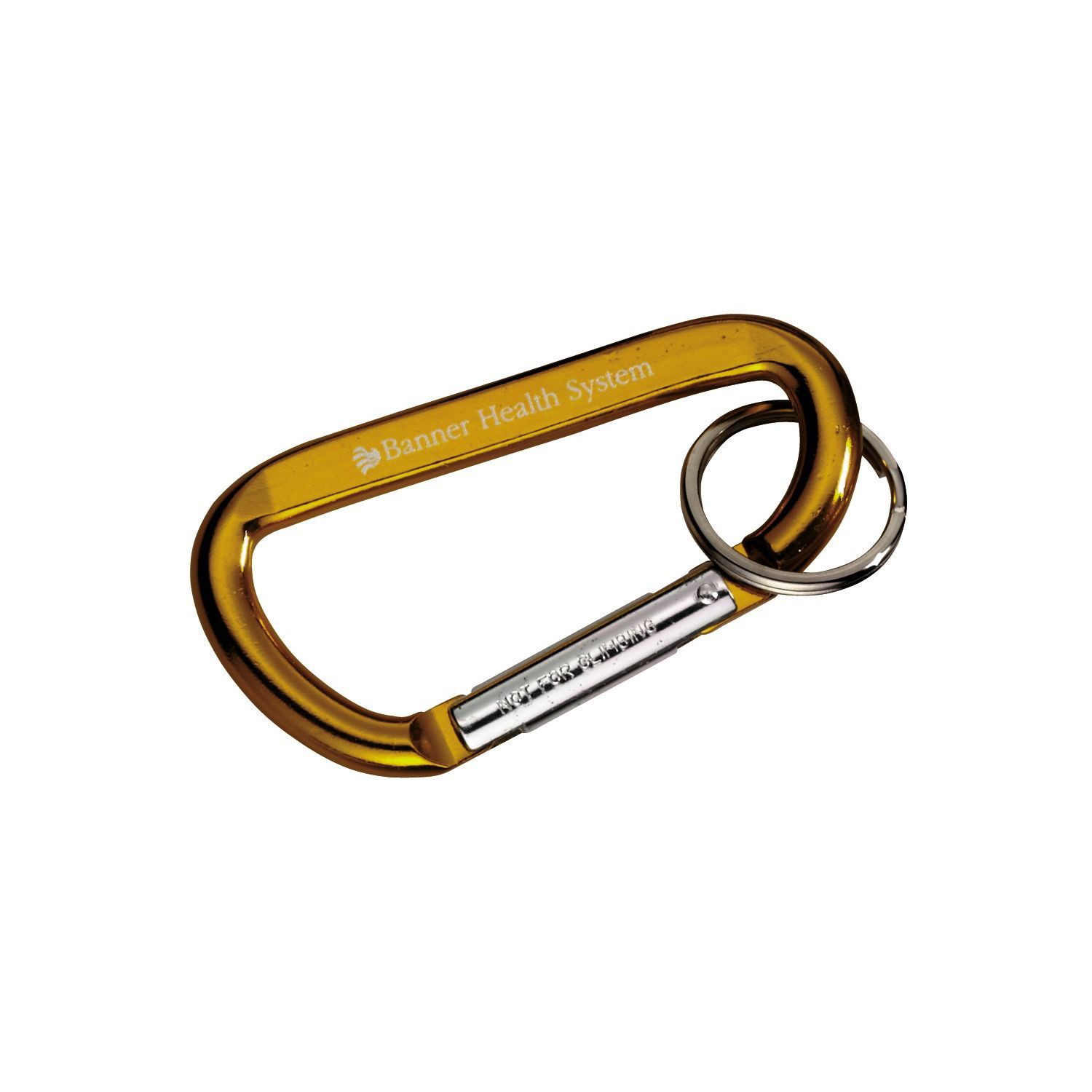 Picture of Carabiner with Ring