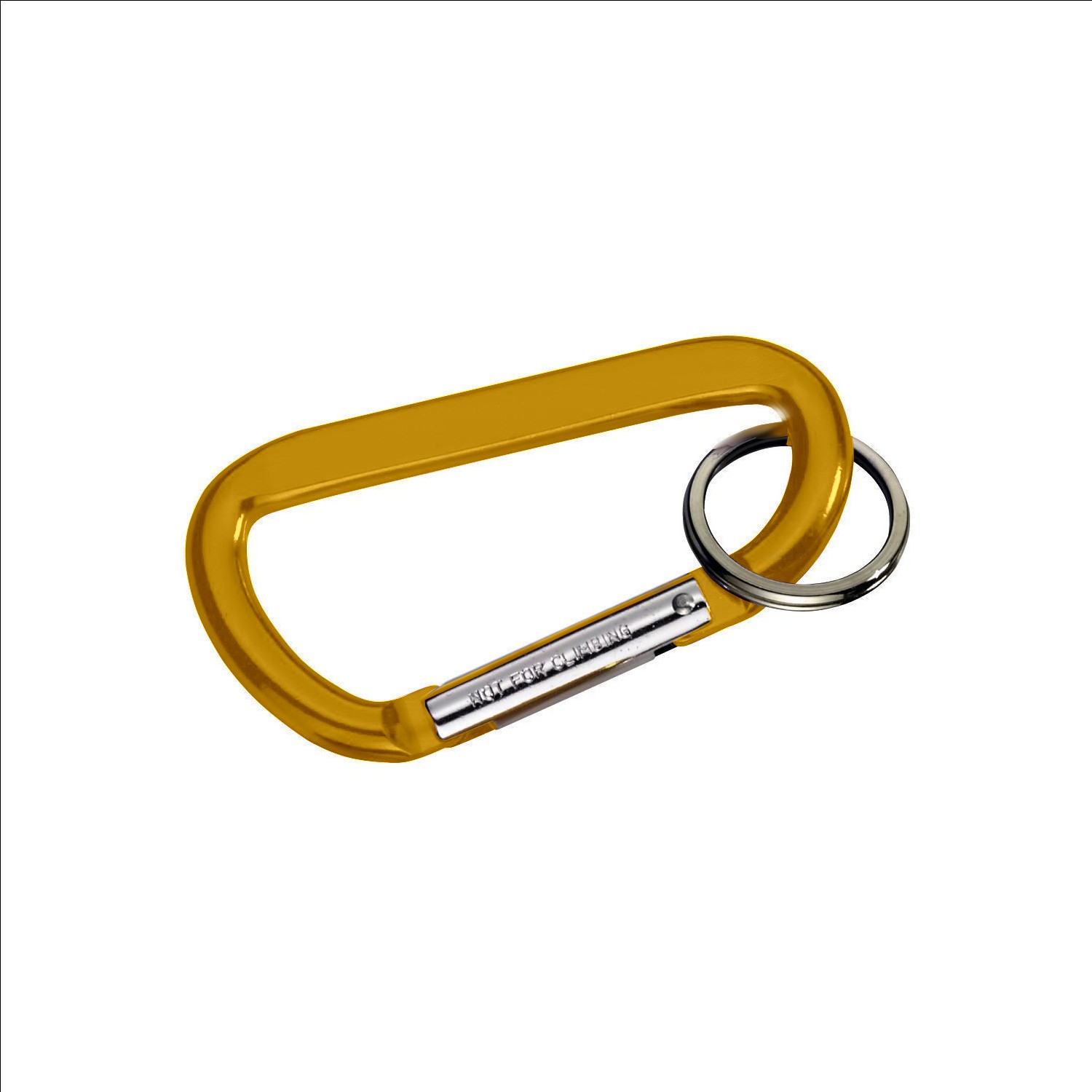 Picture of Carabiner with Ring