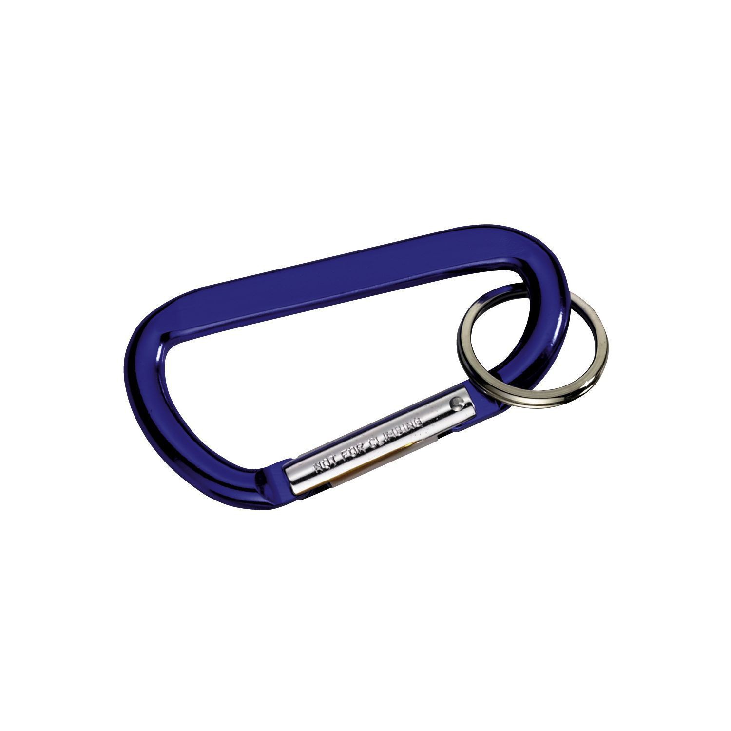 Picture of Carabiner with Ring
