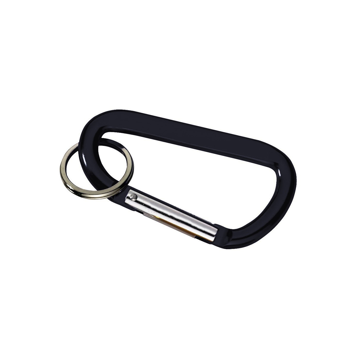 Picture of Carabiner with Ring