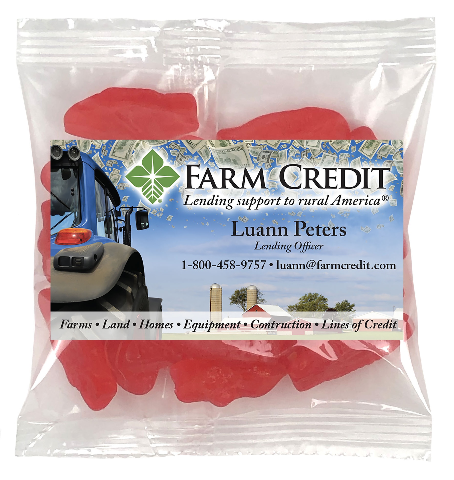 Picture of Small Snack Bag with Rectangle Magnet Standard Fill