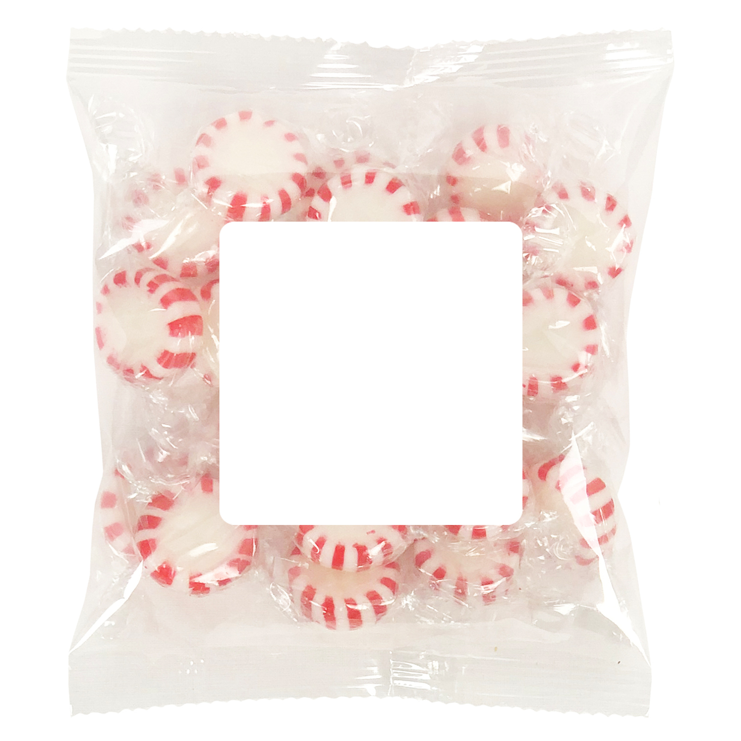 Picture of Large Snack Bag with Label Standard Fill