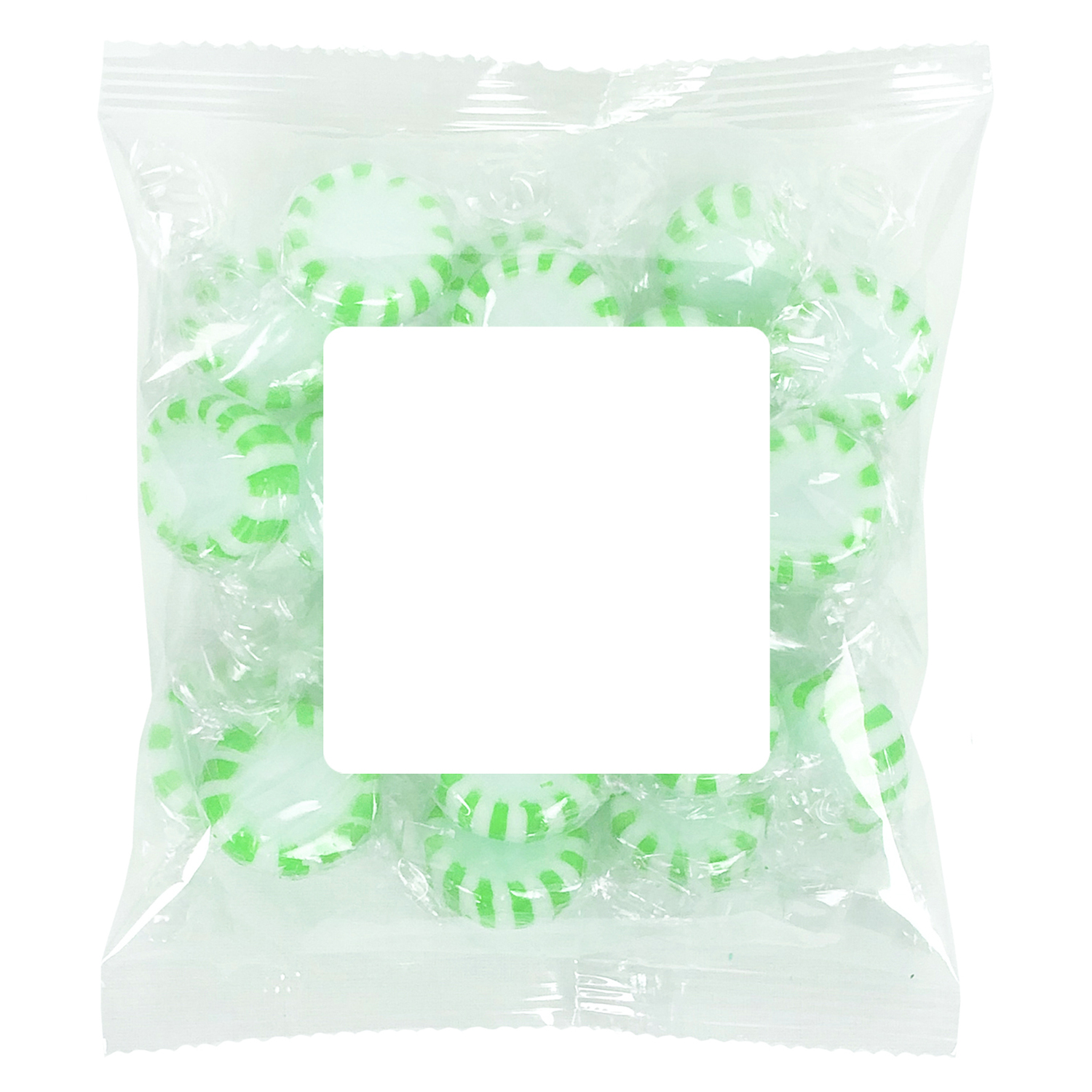 Picture of Large Snack Bag with Label Standard Fill