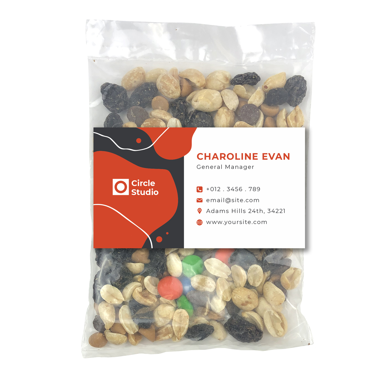 Picture of Large Snack Bag with Rectangle Magnet Standard Fill
