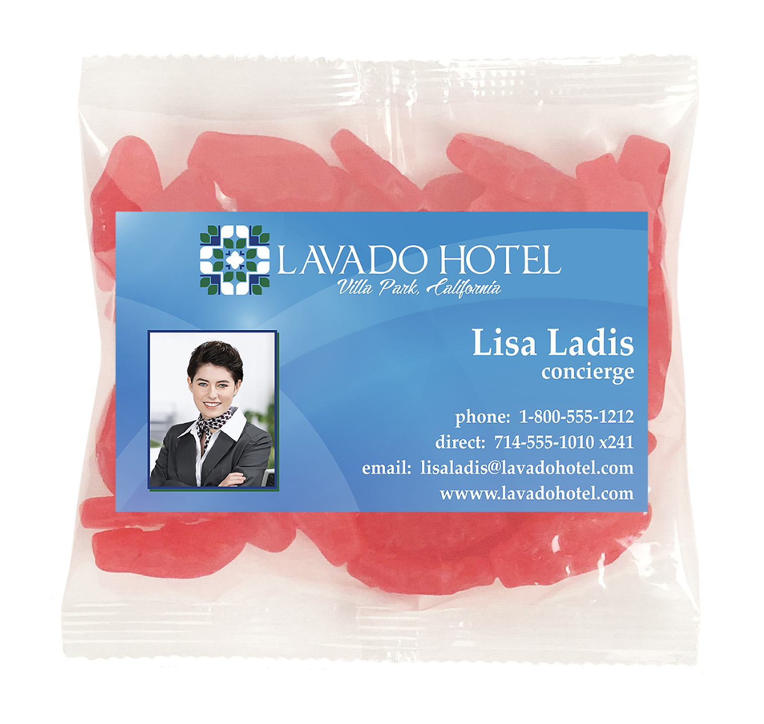 Picture of Large Snack Bag with Rectangle Magnet Standard Fill