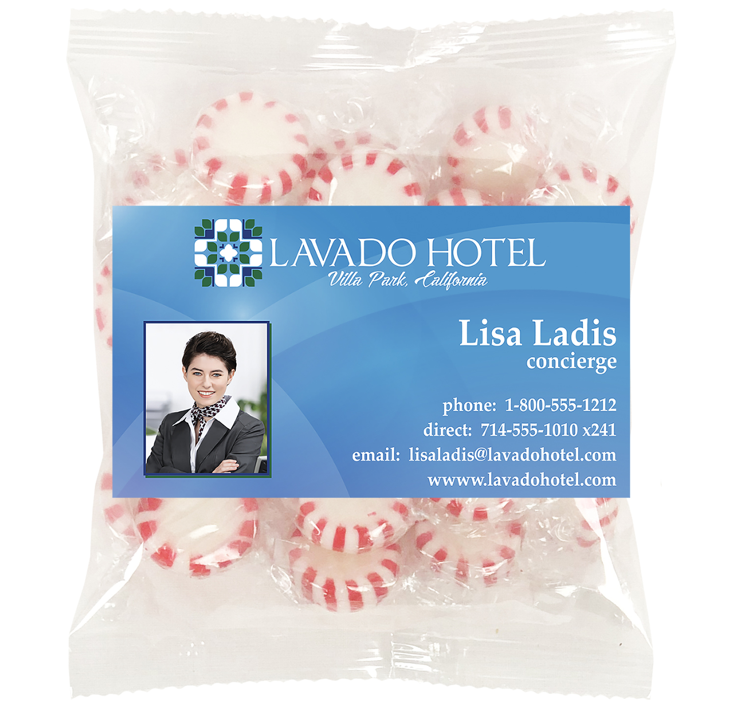 Picture of Large Snack Bag with Rectangle Magnet Standard Fill