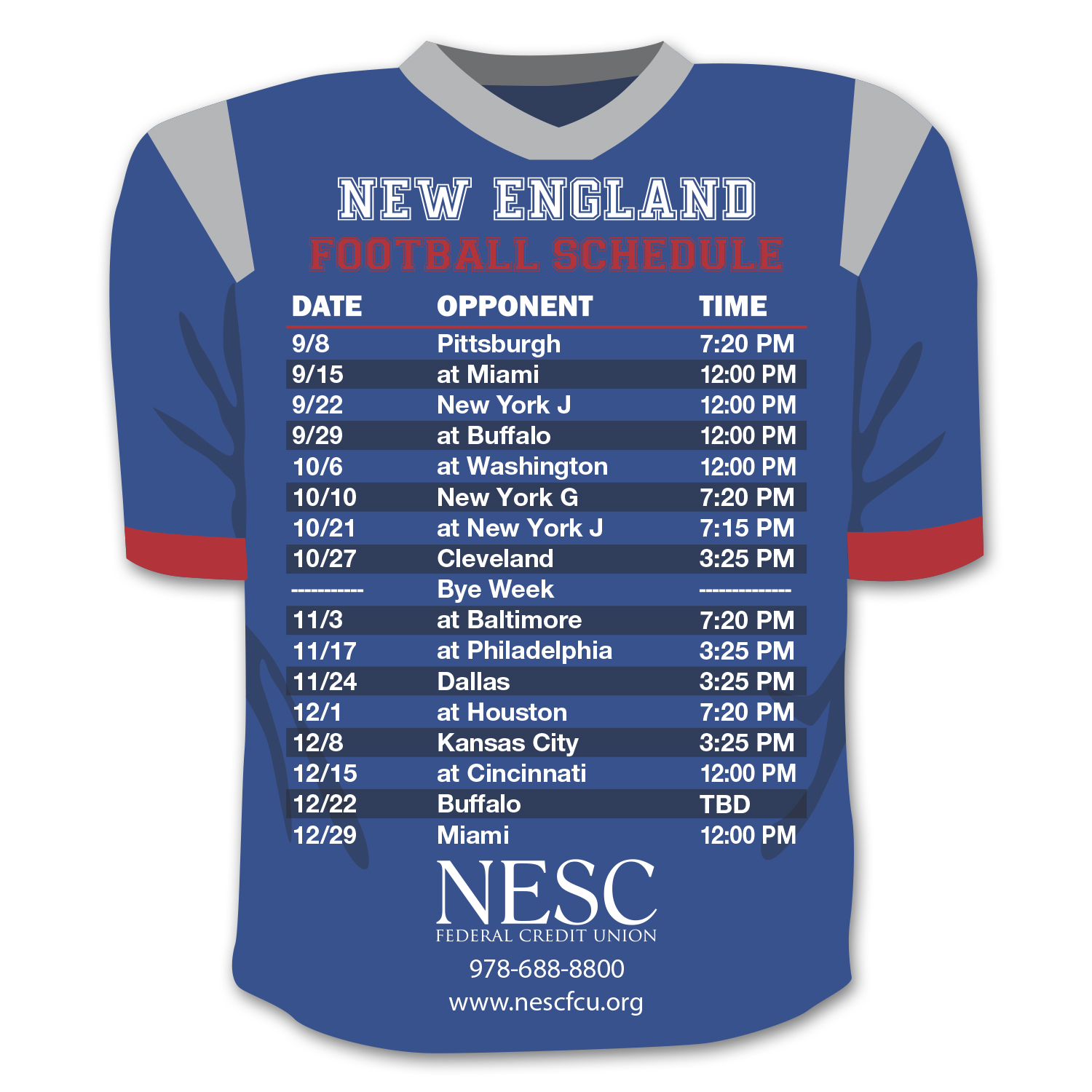 Picture of Schedule Team Jersey Magnet