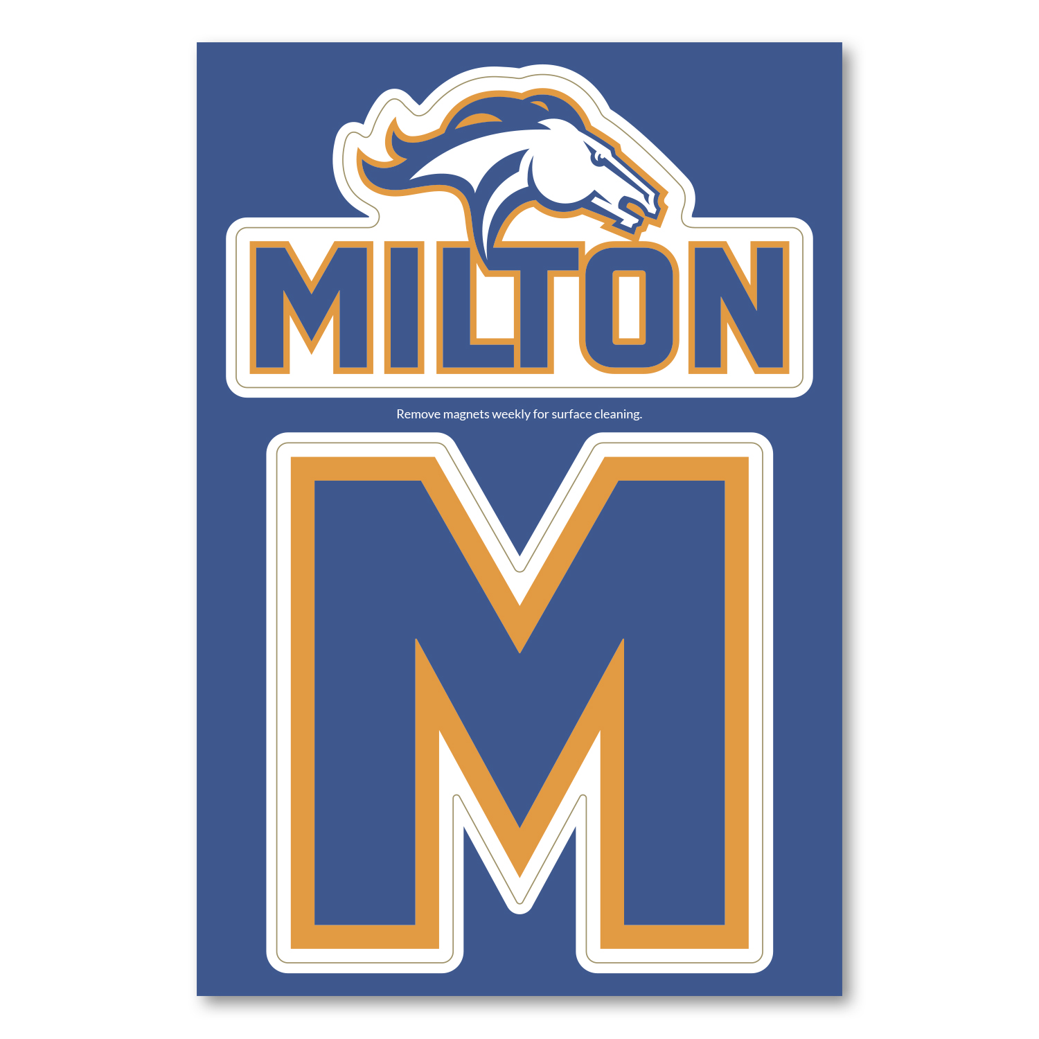 Picture of 2-in-1 Car Magnet Custom 5.75 X 8.5