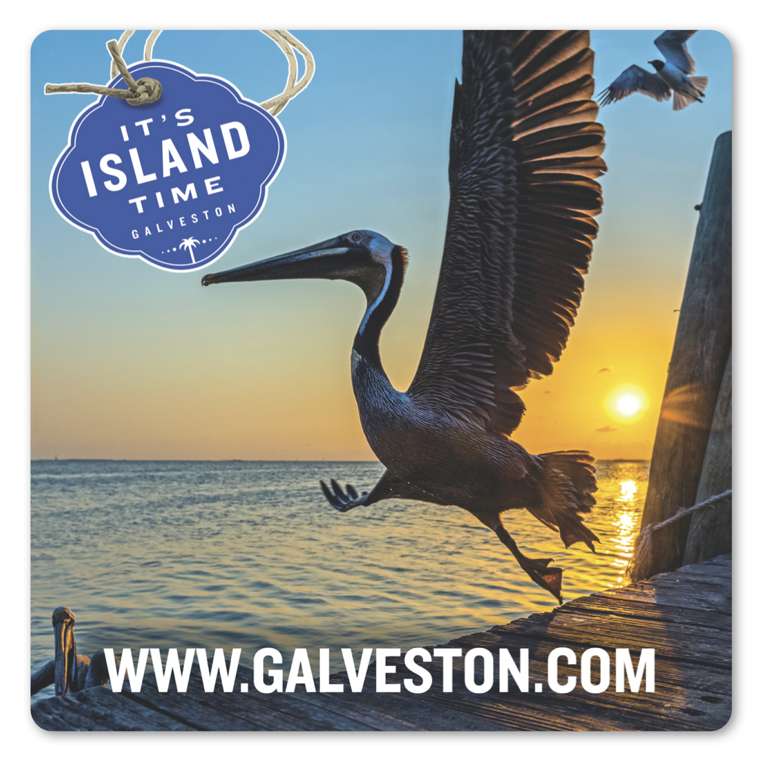 Picture of 4 X 4" SQ Repositionable Label