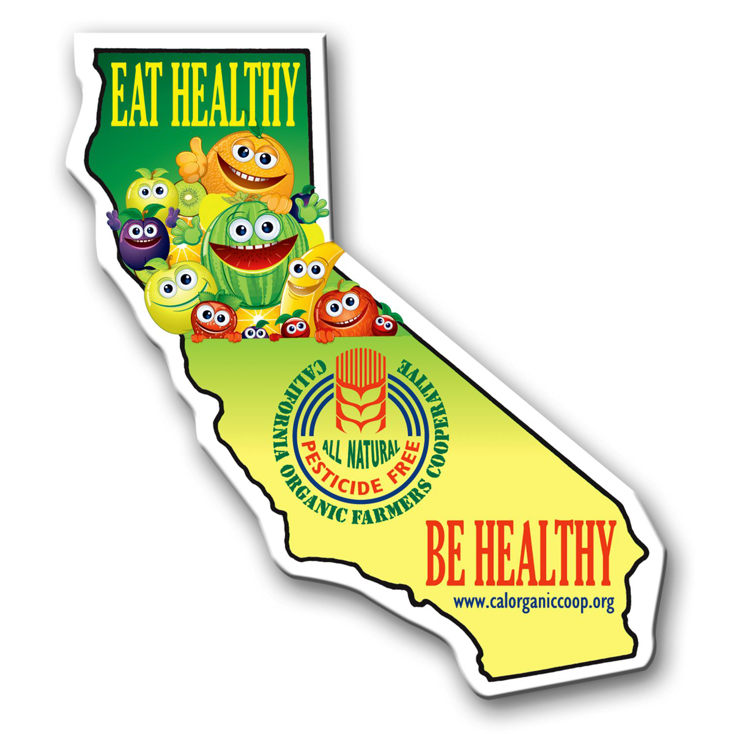 Picture of California State Magnet