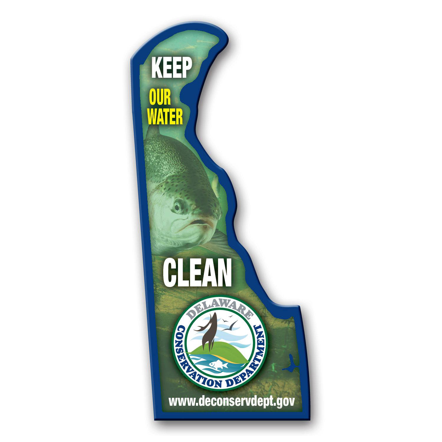 Picture of Delaware State Magnet