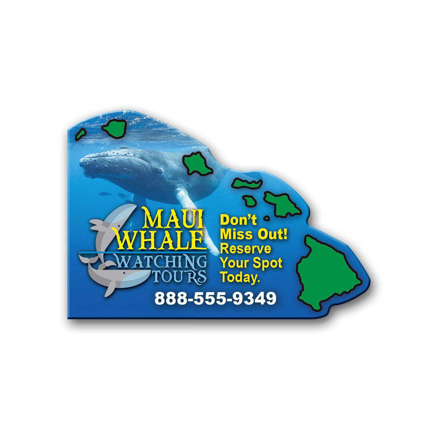 Picture of Hawaii State Magnet