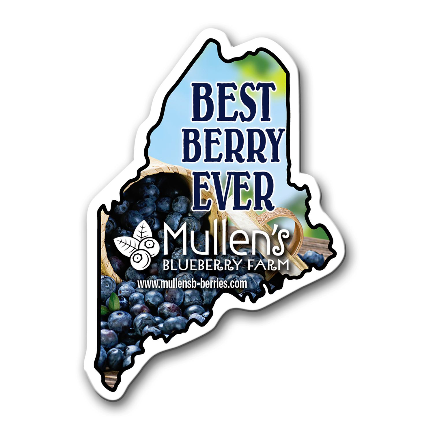Picture of Maine State Magnet