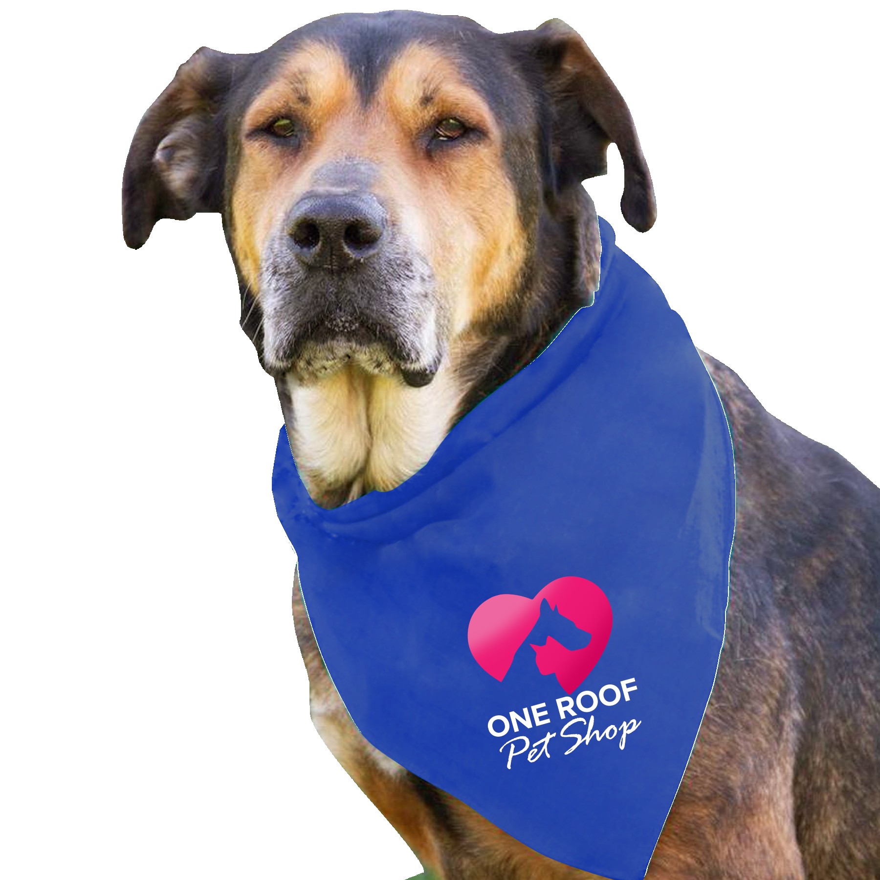 Picture of Garyline® Large Triangle Doggie Bandana