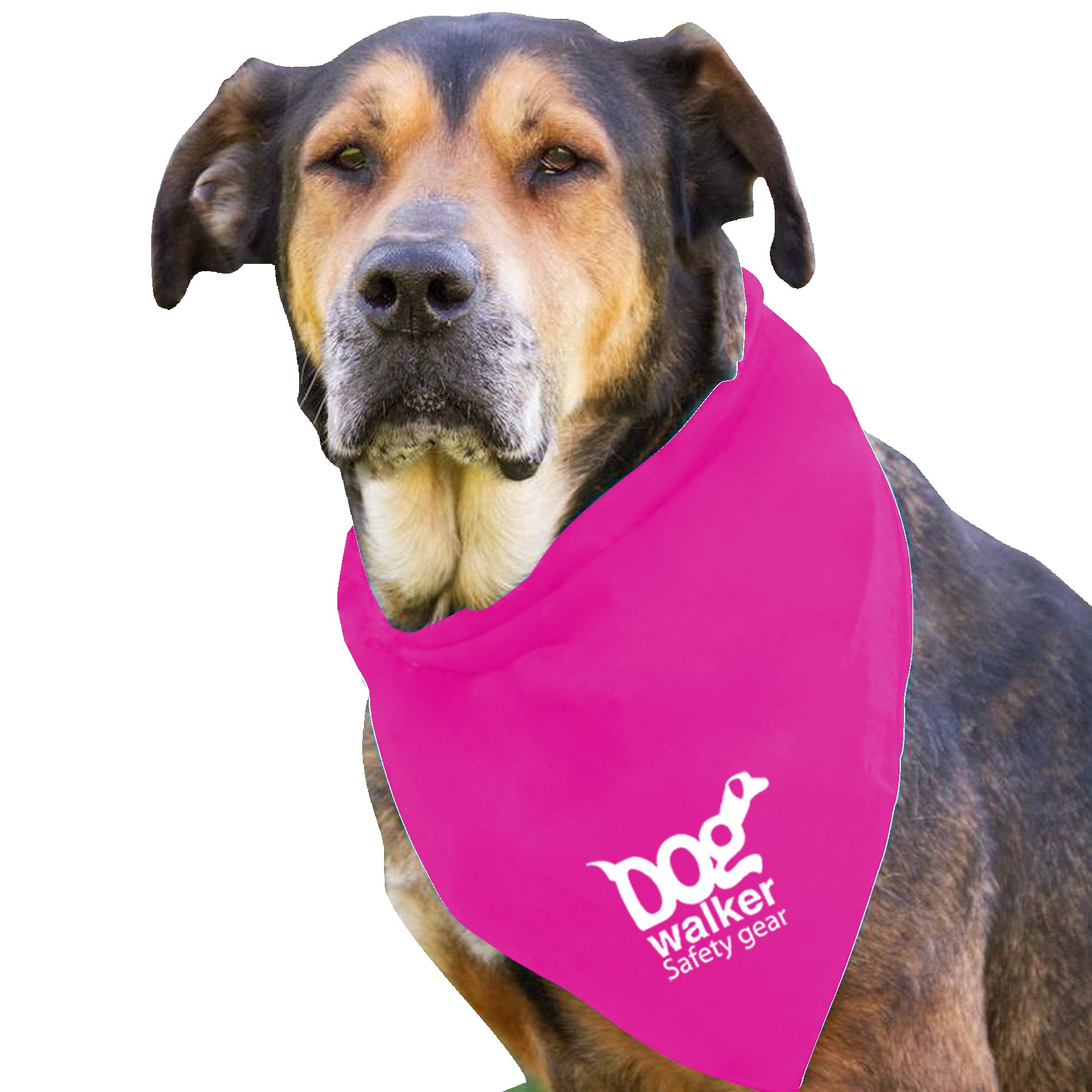 Picture of Garyline® Large Triangle Doggie Bandana
