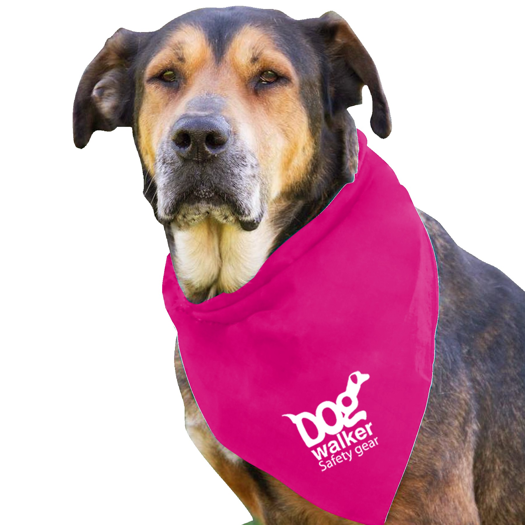 Picture of Garyline® Large Triangle Doggie Bandana