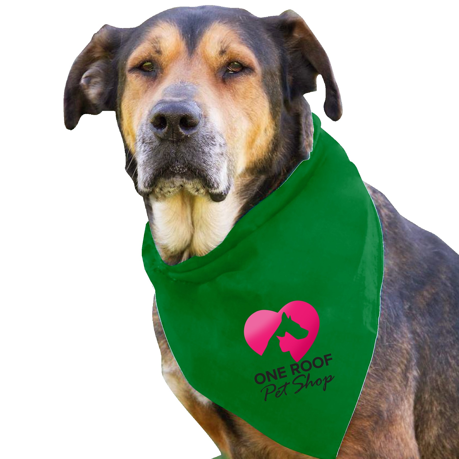 Picture of Garyline® Large Triangle Doggie Bandana