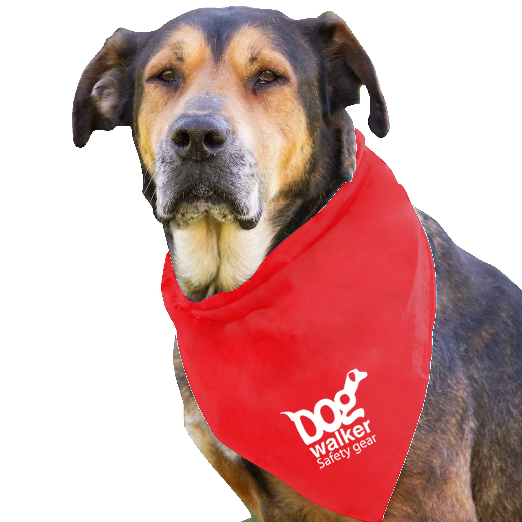 Picture of Garyline® Large Triangle Doggie Bandana