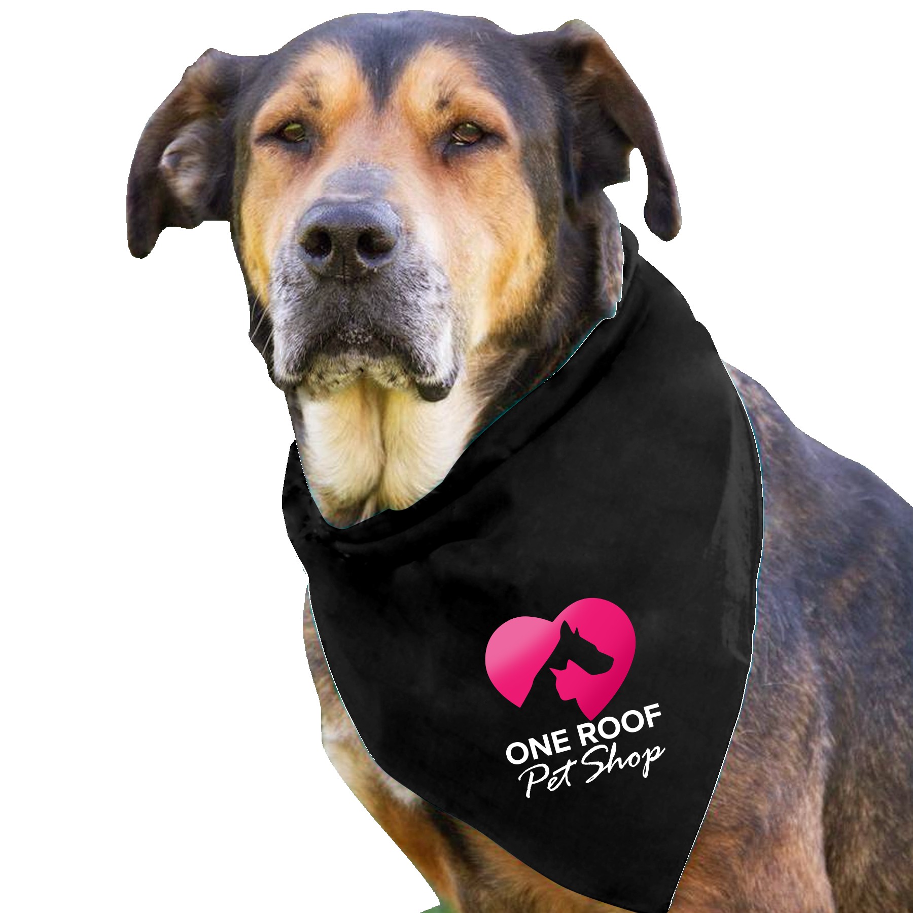 Picture of Garyline® Large Triangle Doggie Bandana