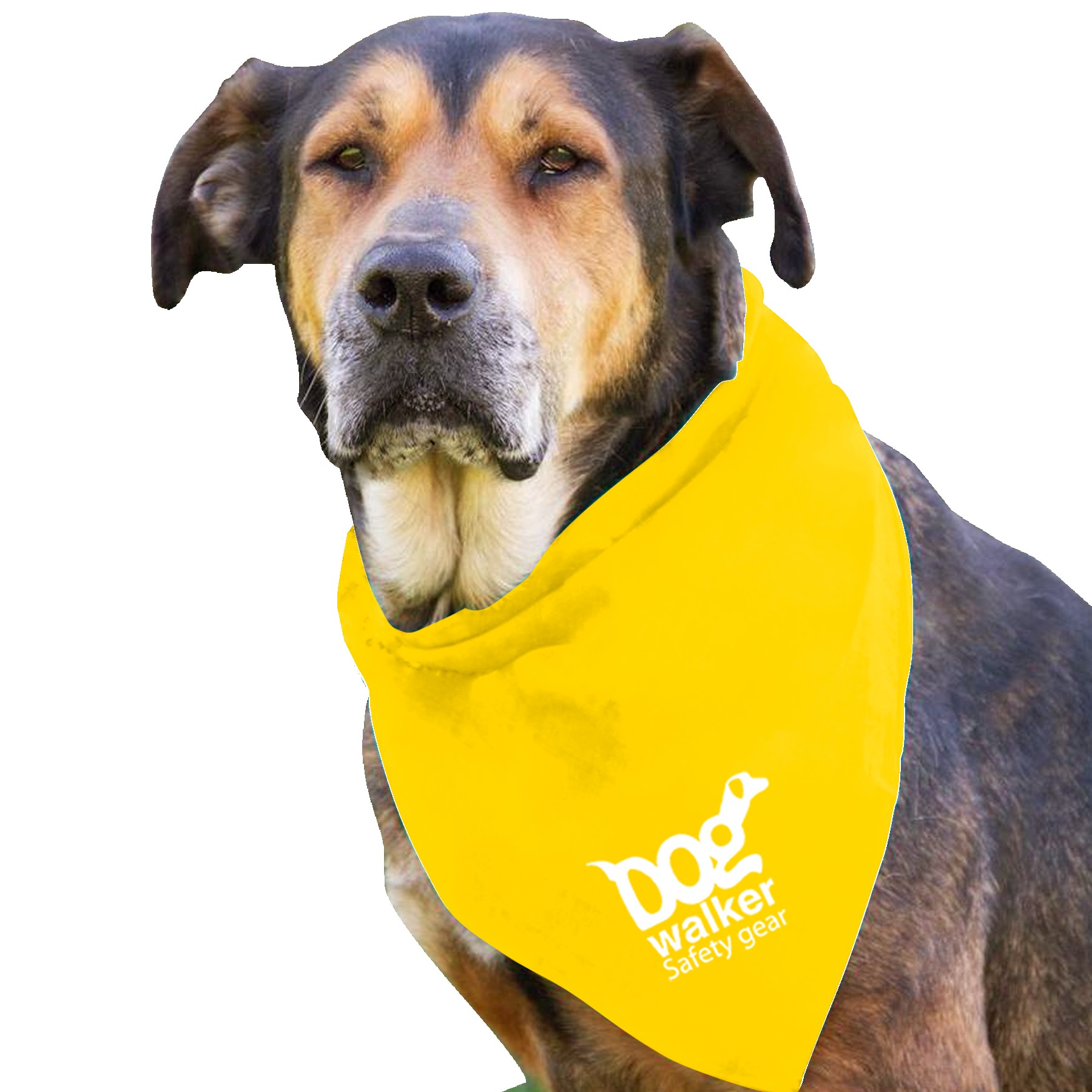 Picture of Garyline® Large Triangle Doggie Bandana