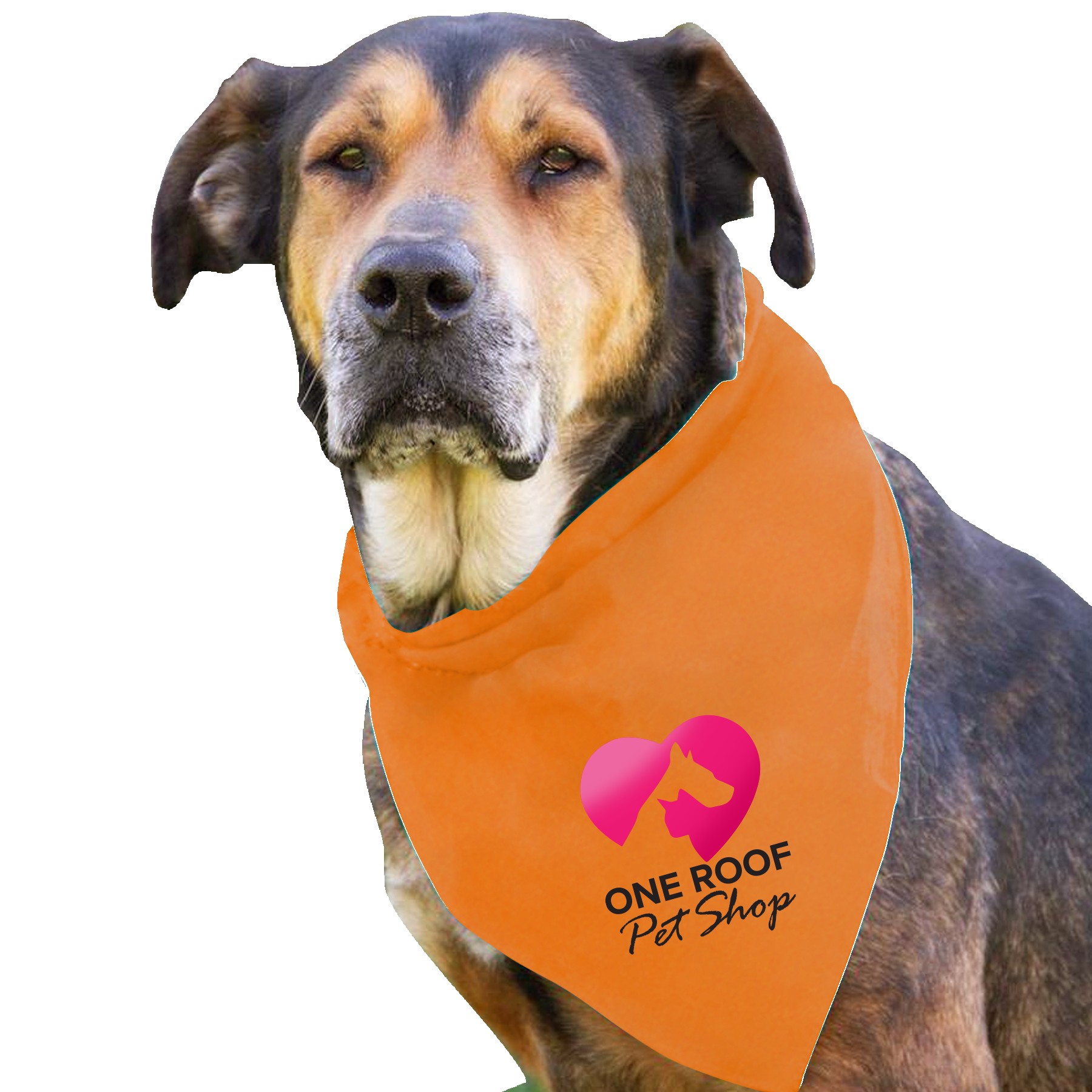 Picture of Garyline® Large Triangle Doggie Bandana