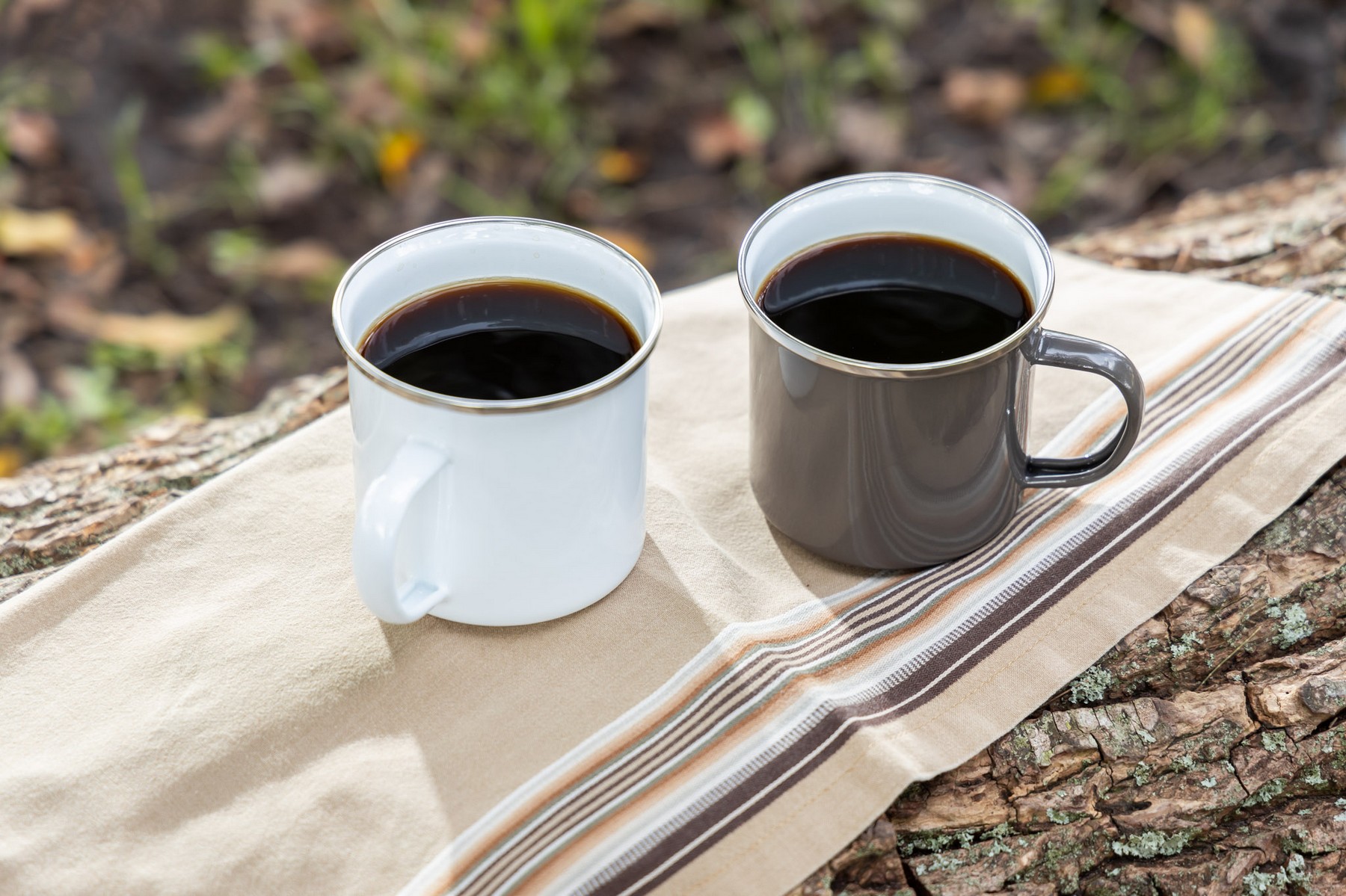Picture of 18 oz Camper II Stainless Steel Mug