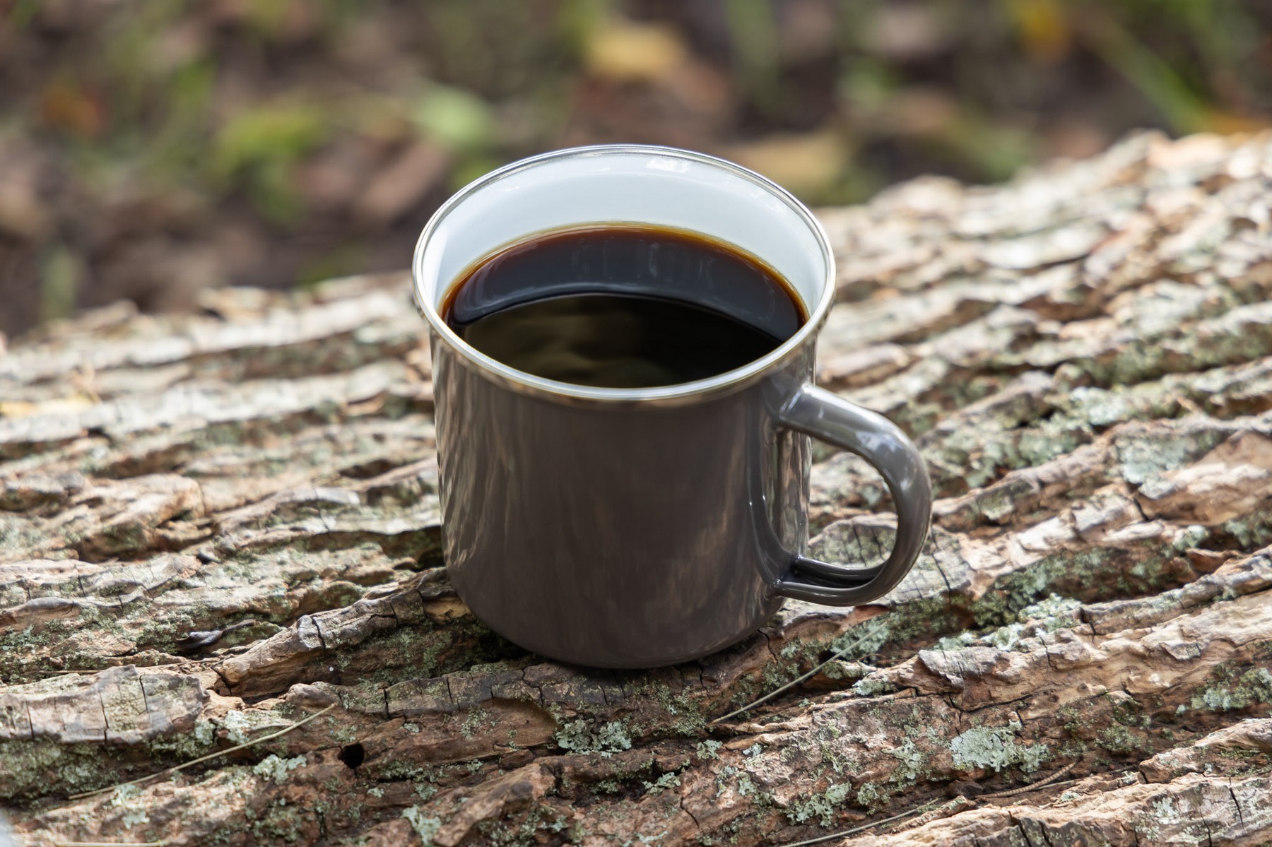 Picture of 18 oz Camper II Stainless Steel Mug