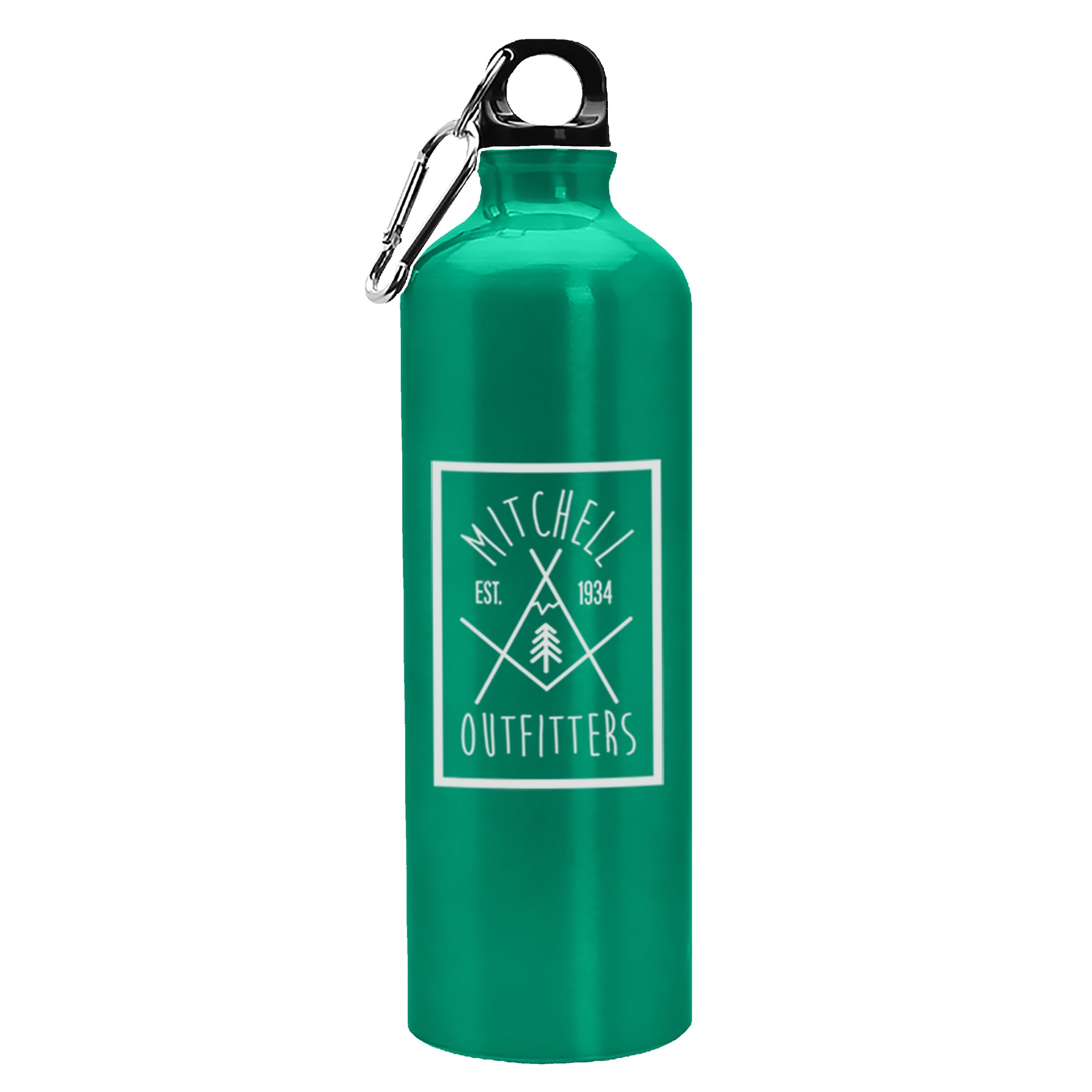 Picture of Garyline® Excursion Aluminum Bottle with Carabiner - 25 oz.