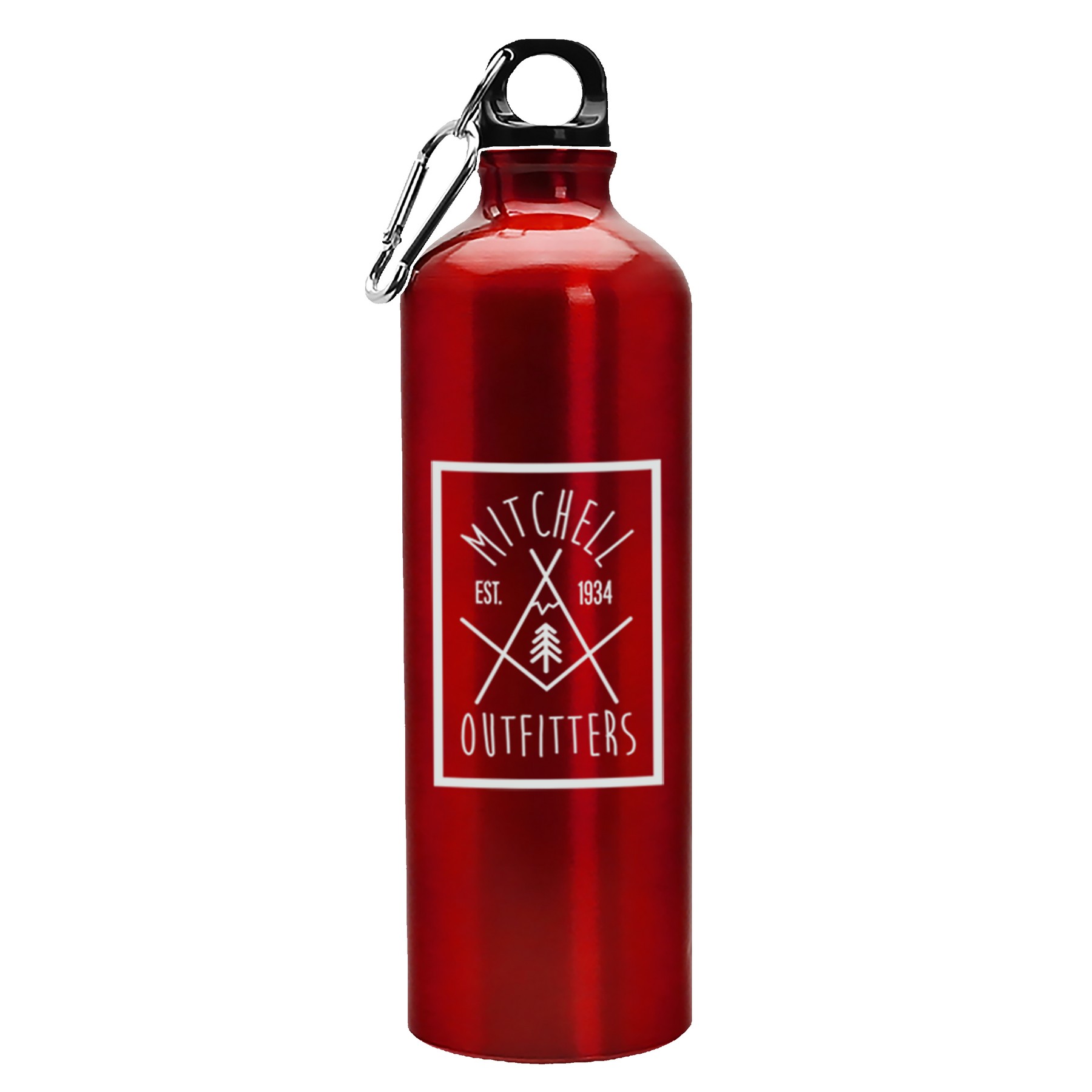 Picture of Garyline® Excursion Aluminum Bottle with Carabiner - 25 oz.