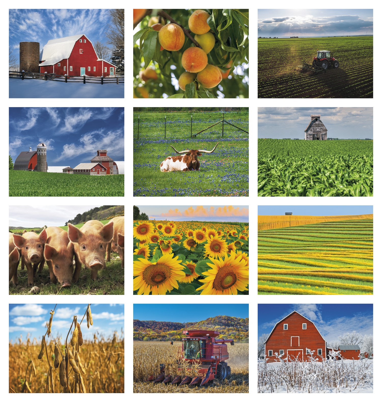 Picture of Good Value™ Agriculture - Spiral Calendar