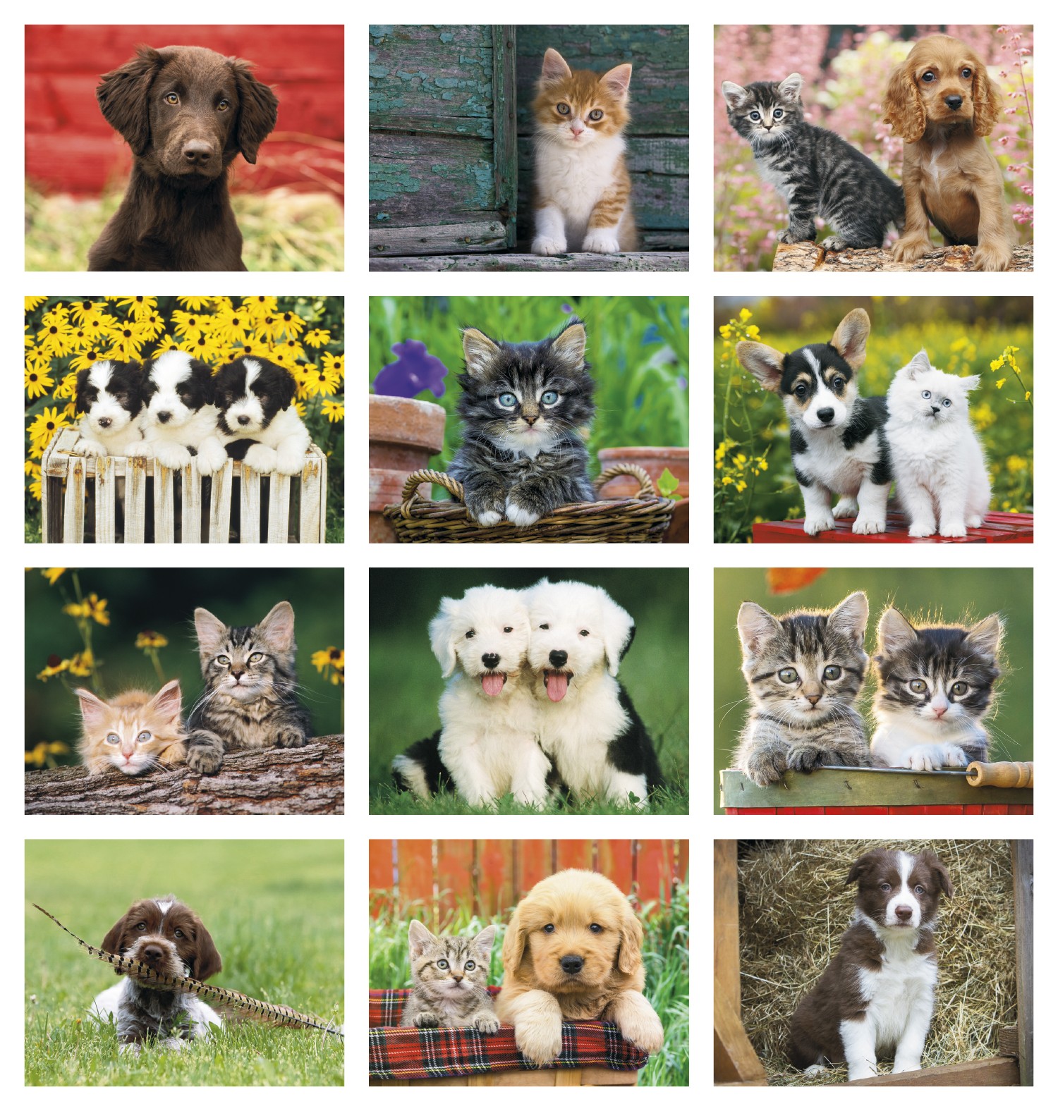 Picture of Good Value™ Puppies & Kittens - Stapled Calendar