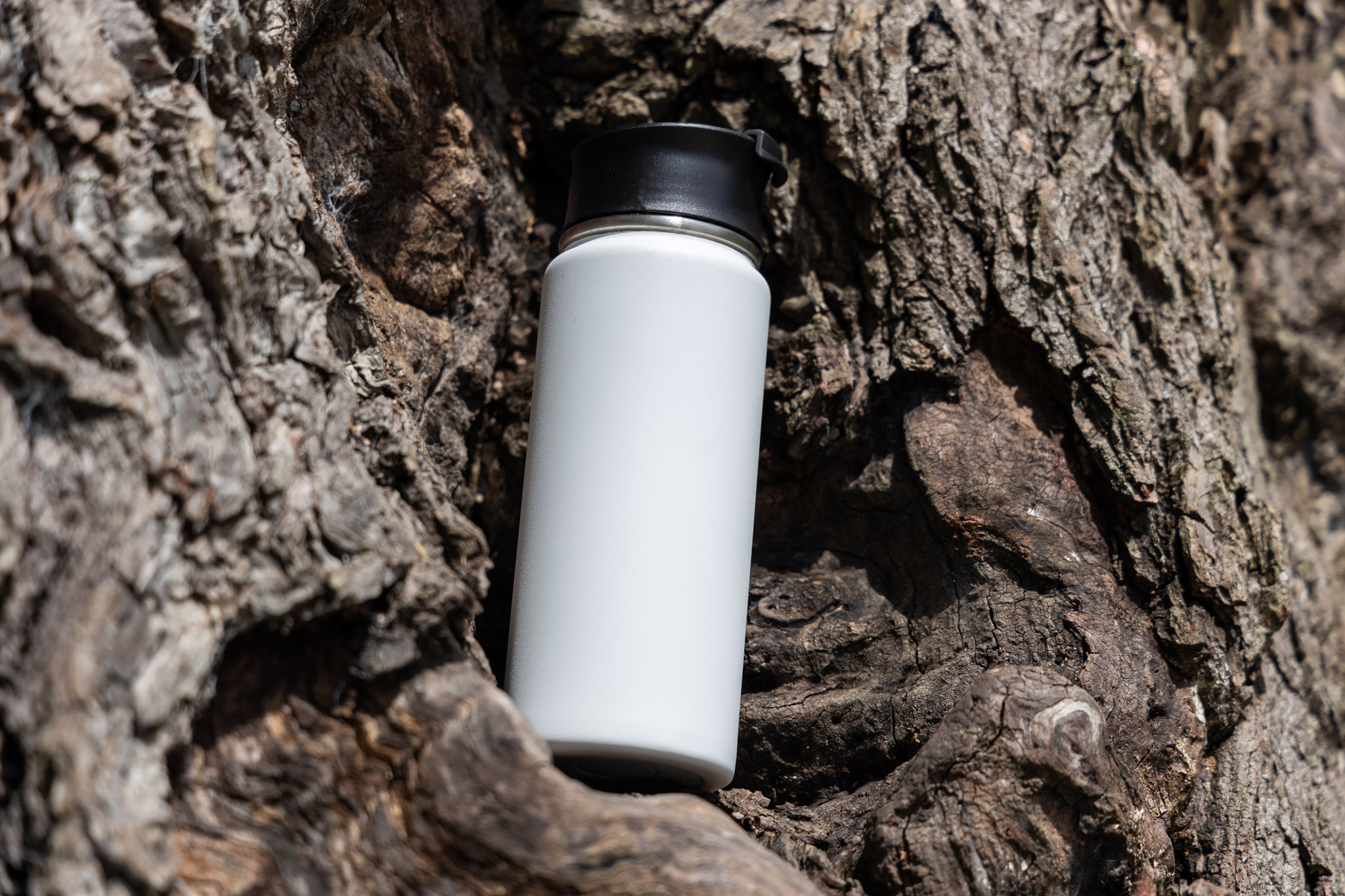Picture of 20 oz Everest Tumbler