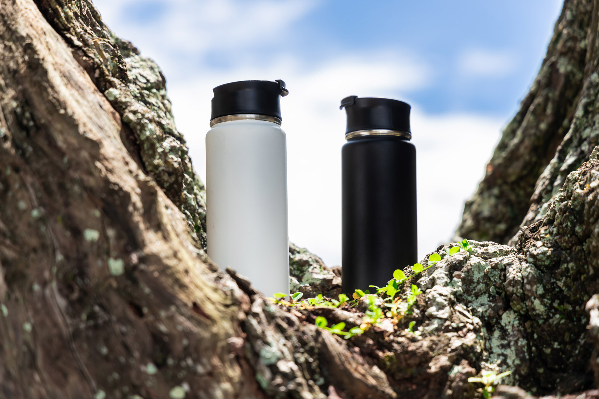 Picture of 20 oz Everest Tumbler