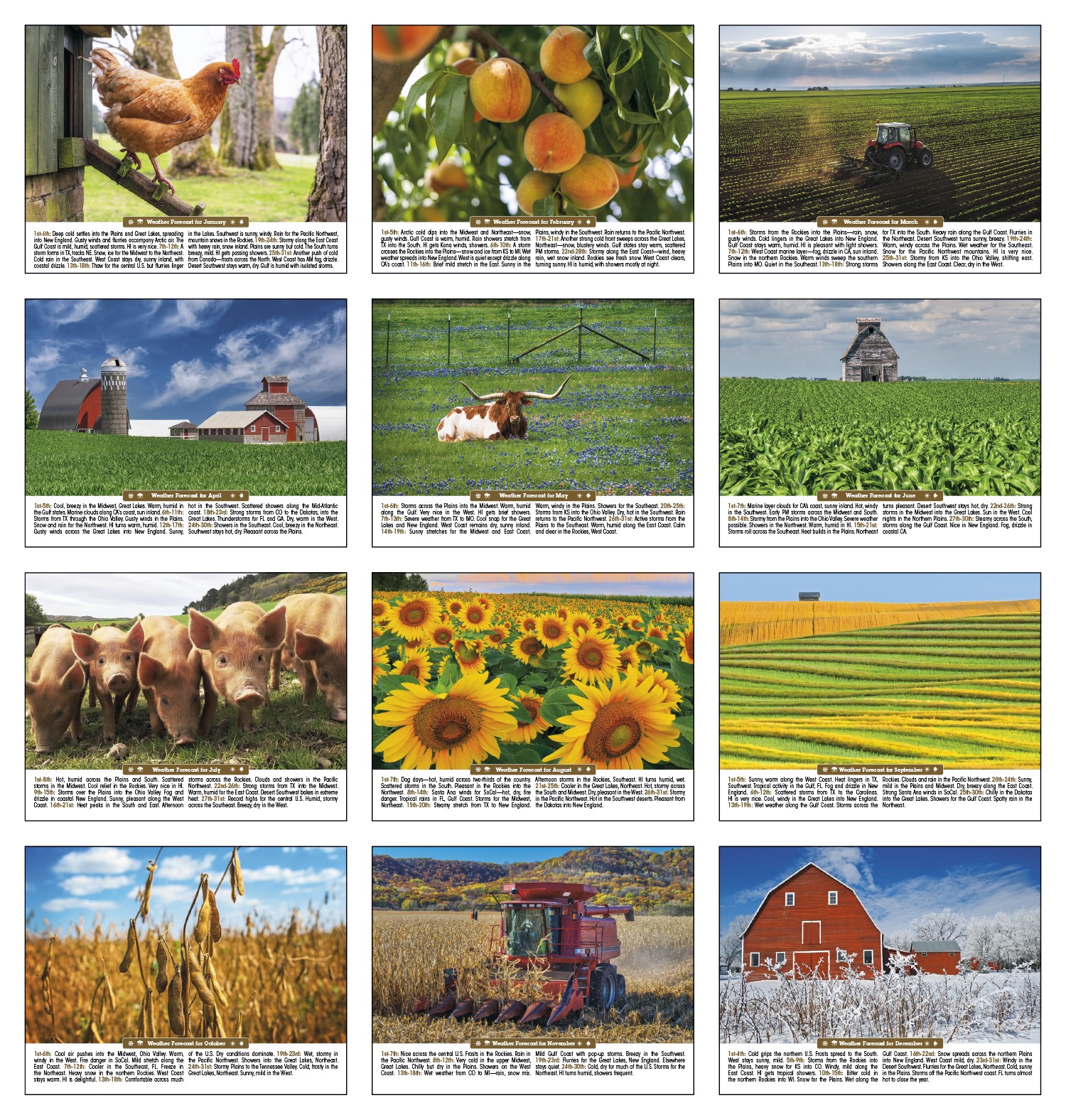 Picture of Triumph® Calendars Scenic Almanac
