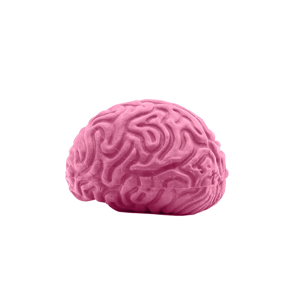 Picture of Pencil-Top Eraser Brain