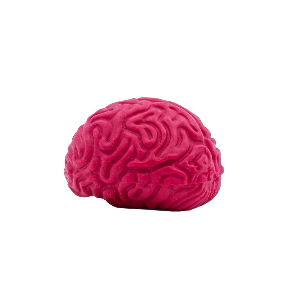 Picture of Pencil-Top Eraser Brain