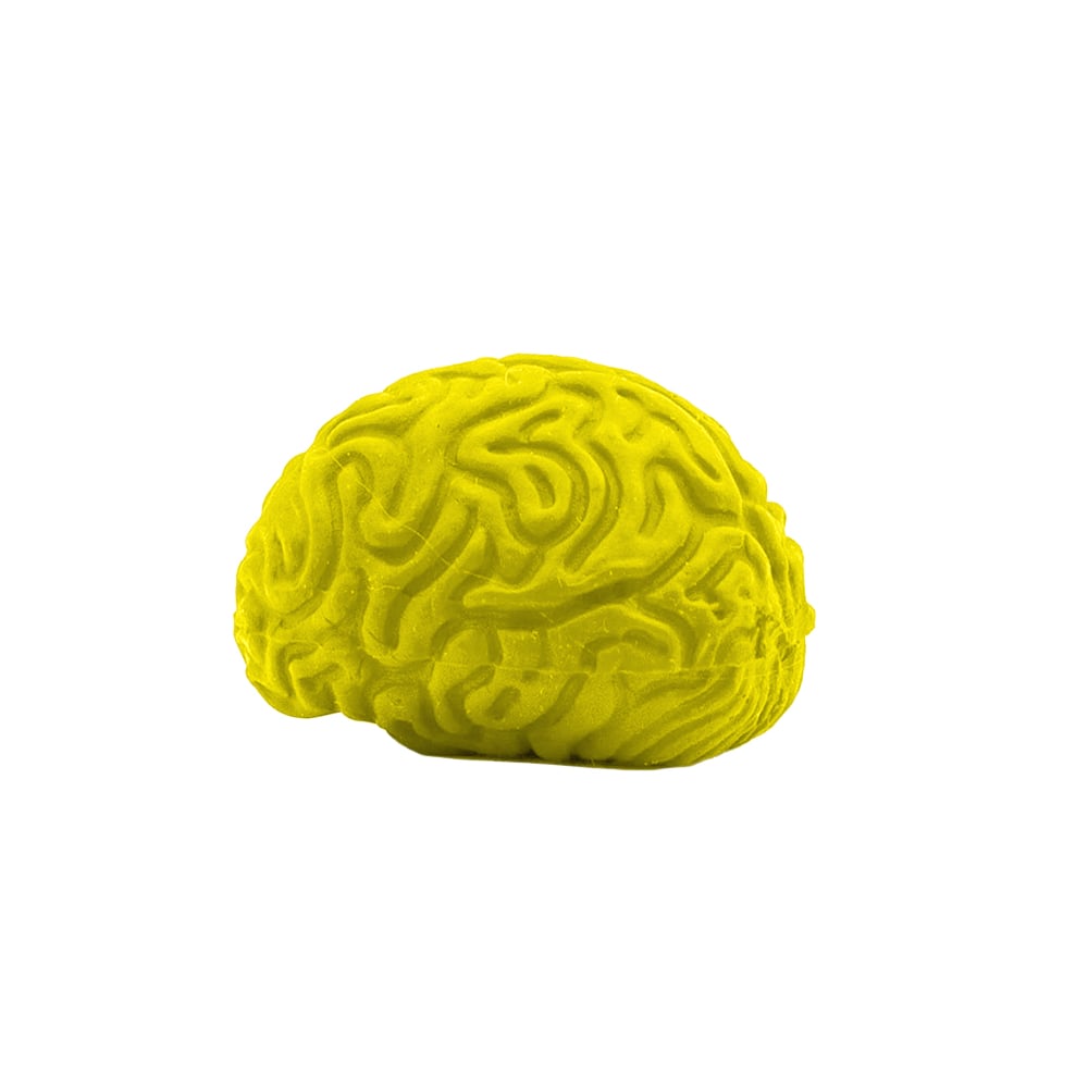 Picture of Pencil-Top Eraser Brain