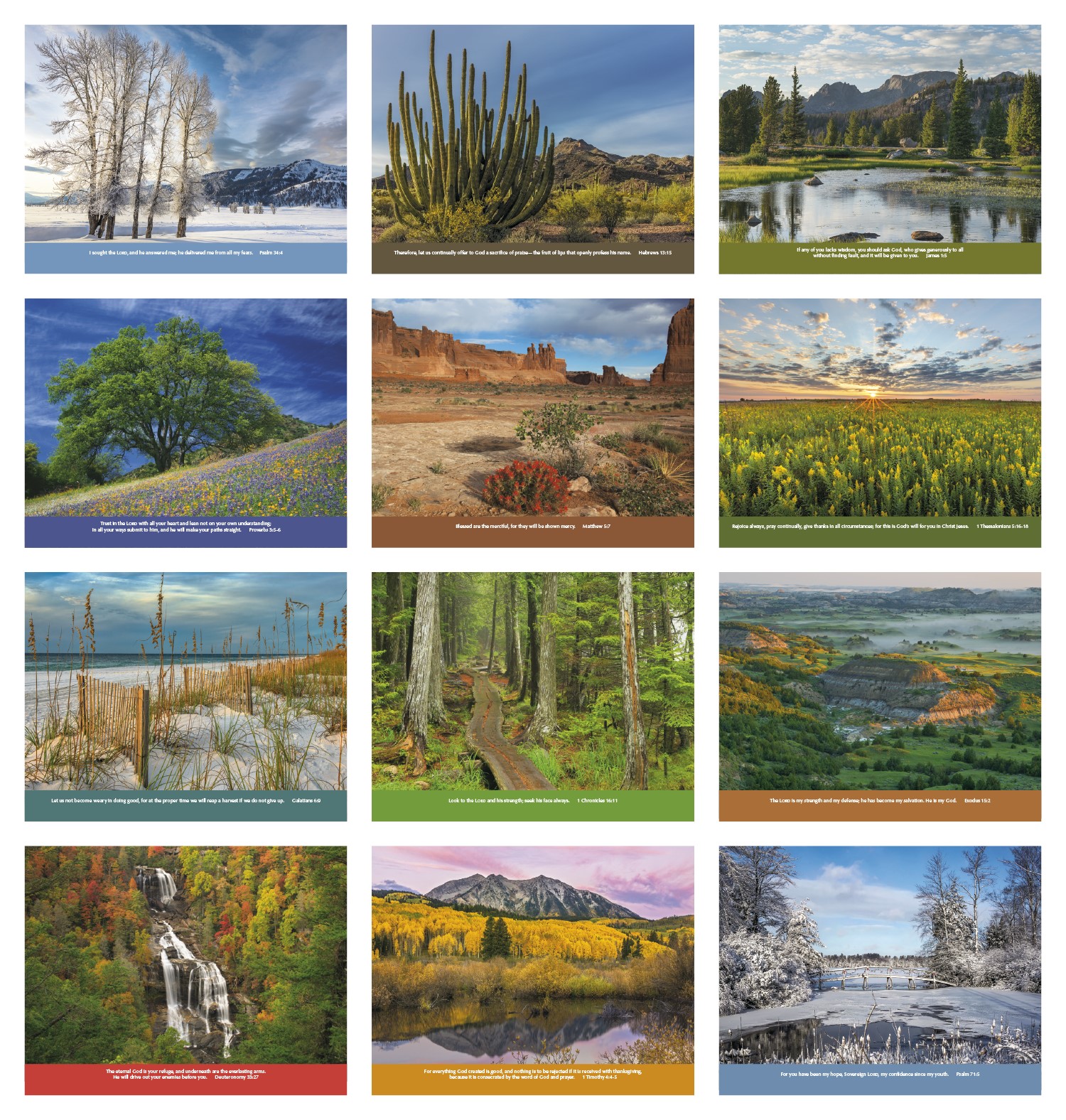 Picture of Good Value™ Eternal Word without Funeral Planner - Spiral Calendar