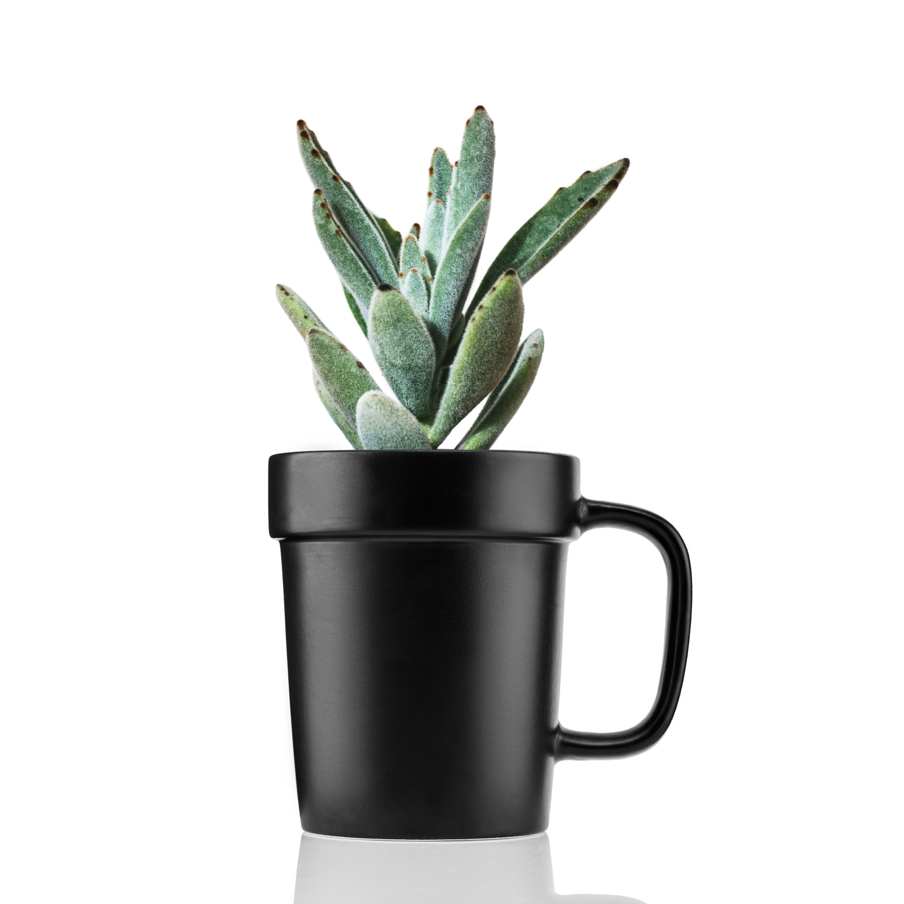 Picture of 16 oz Planter Mug