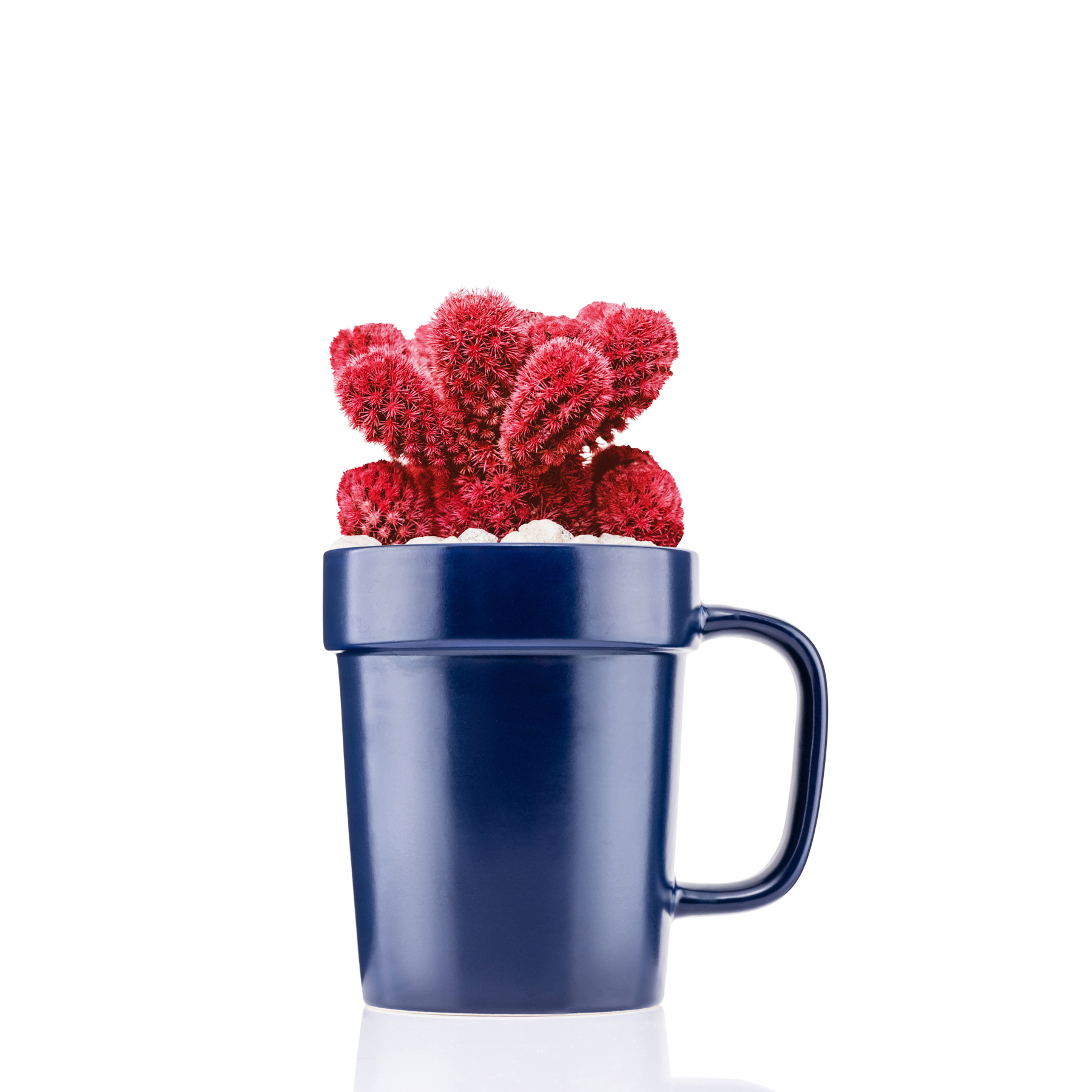 Picture of 16 oz Planter Mug