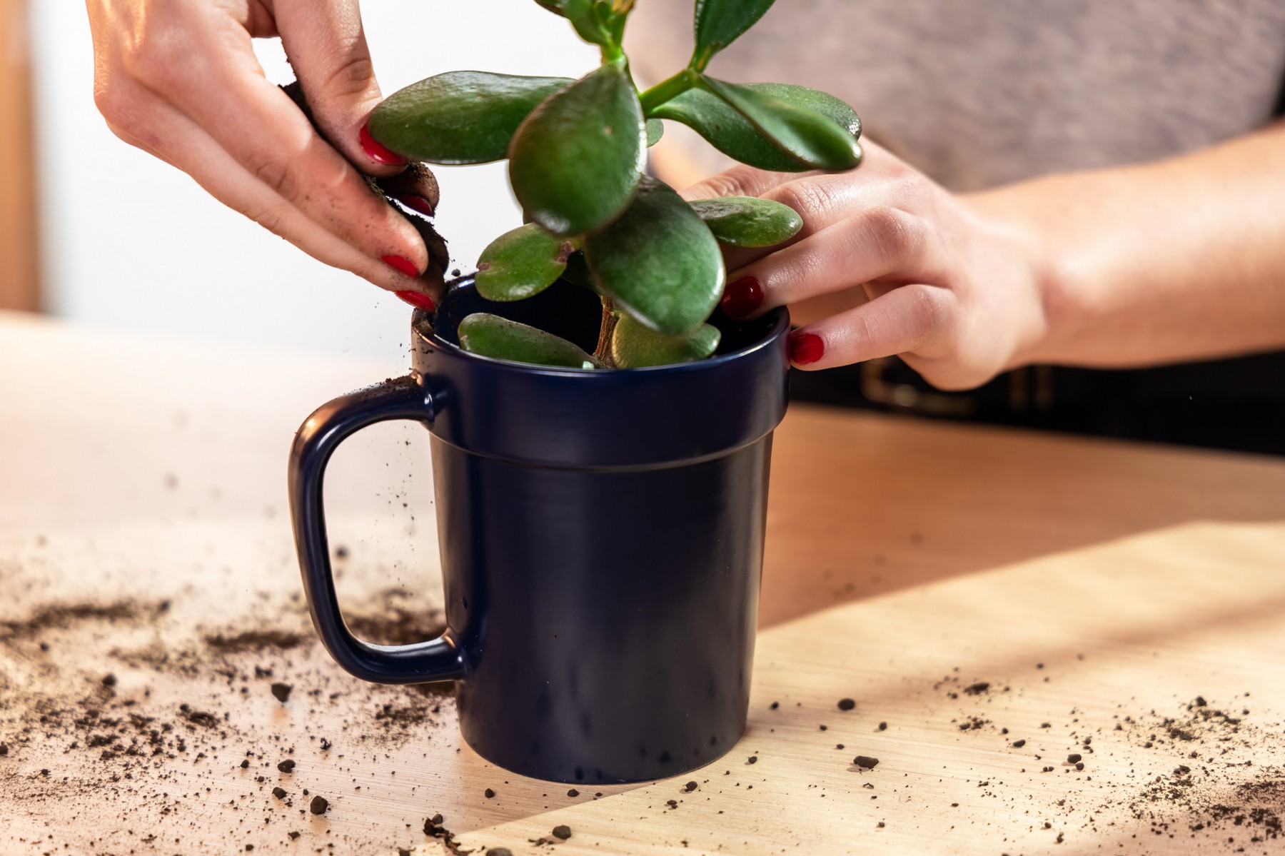 Picture of 16 oz Planter Mug